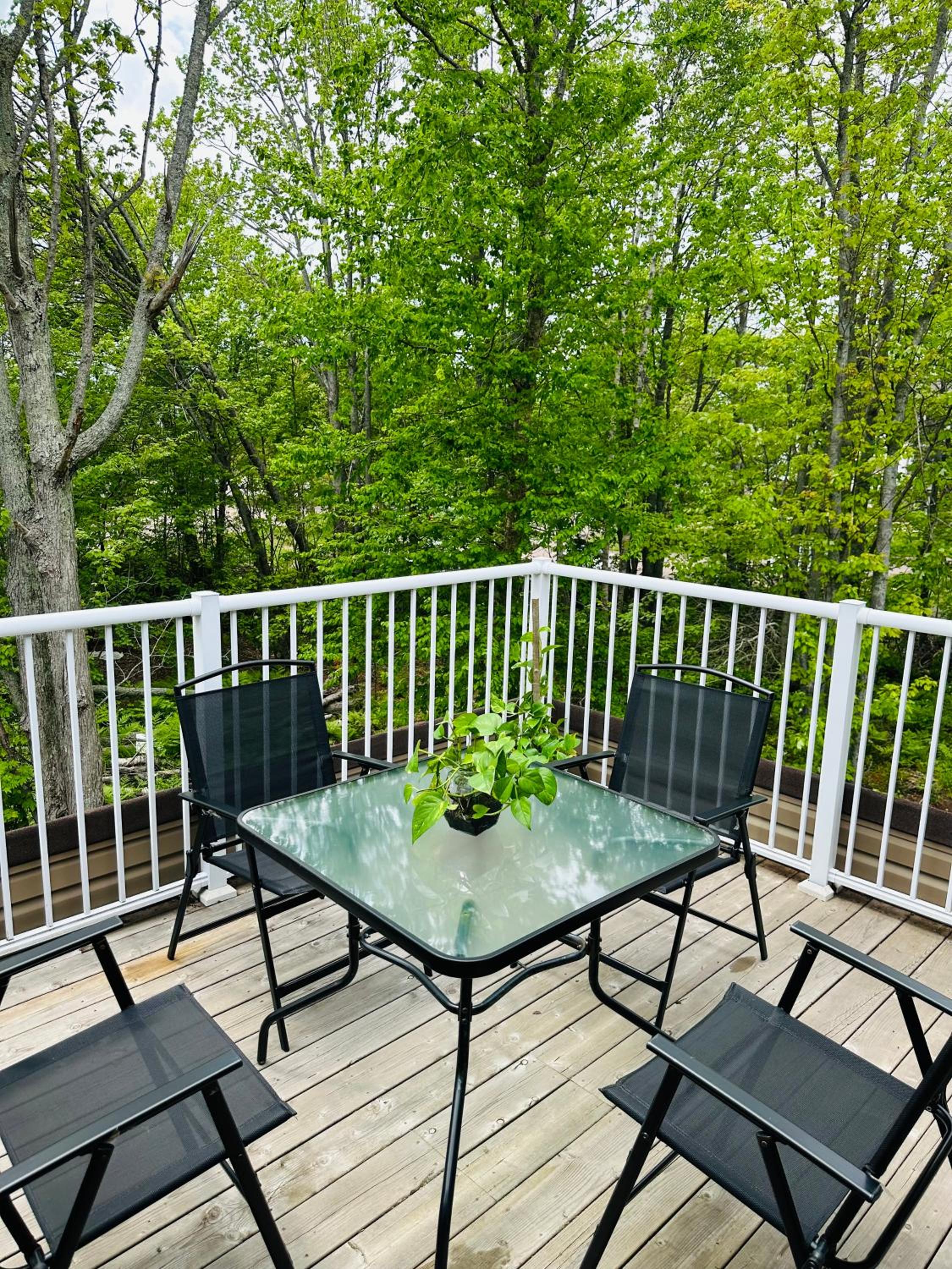 Family Room with Terrace photo 3