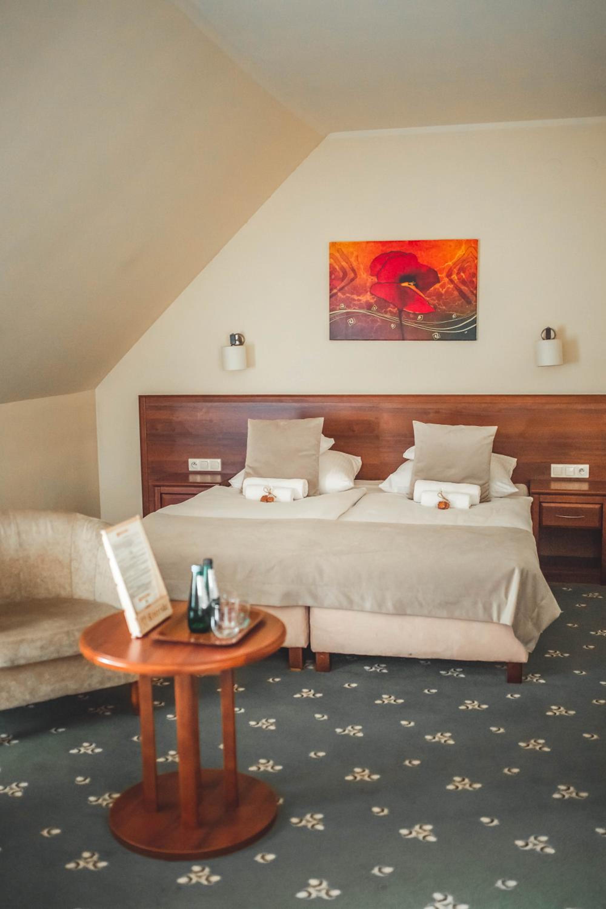 Superior Double or Twin Room - Photo 9