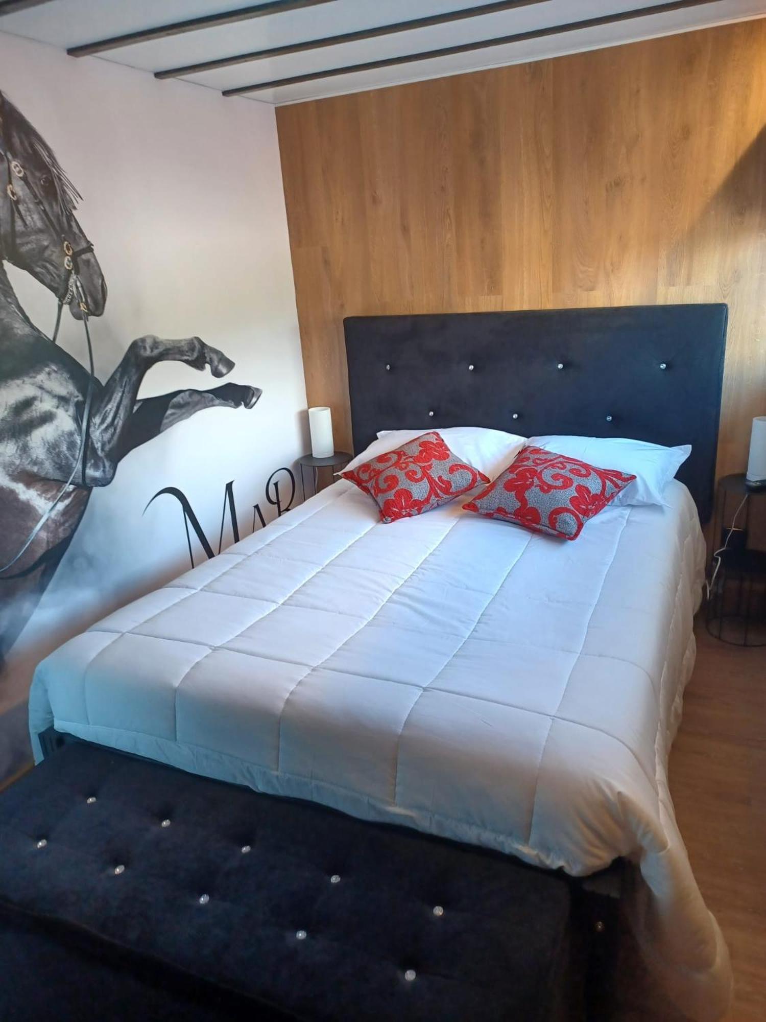 Deluxe Bungalow - Photo 6