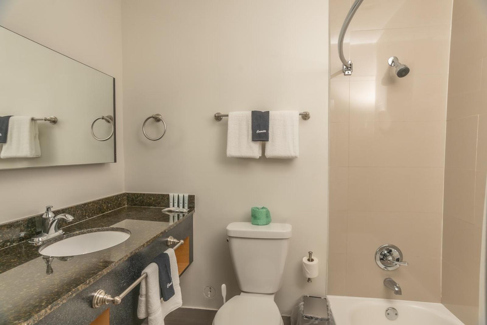 Superior King Room photo 3