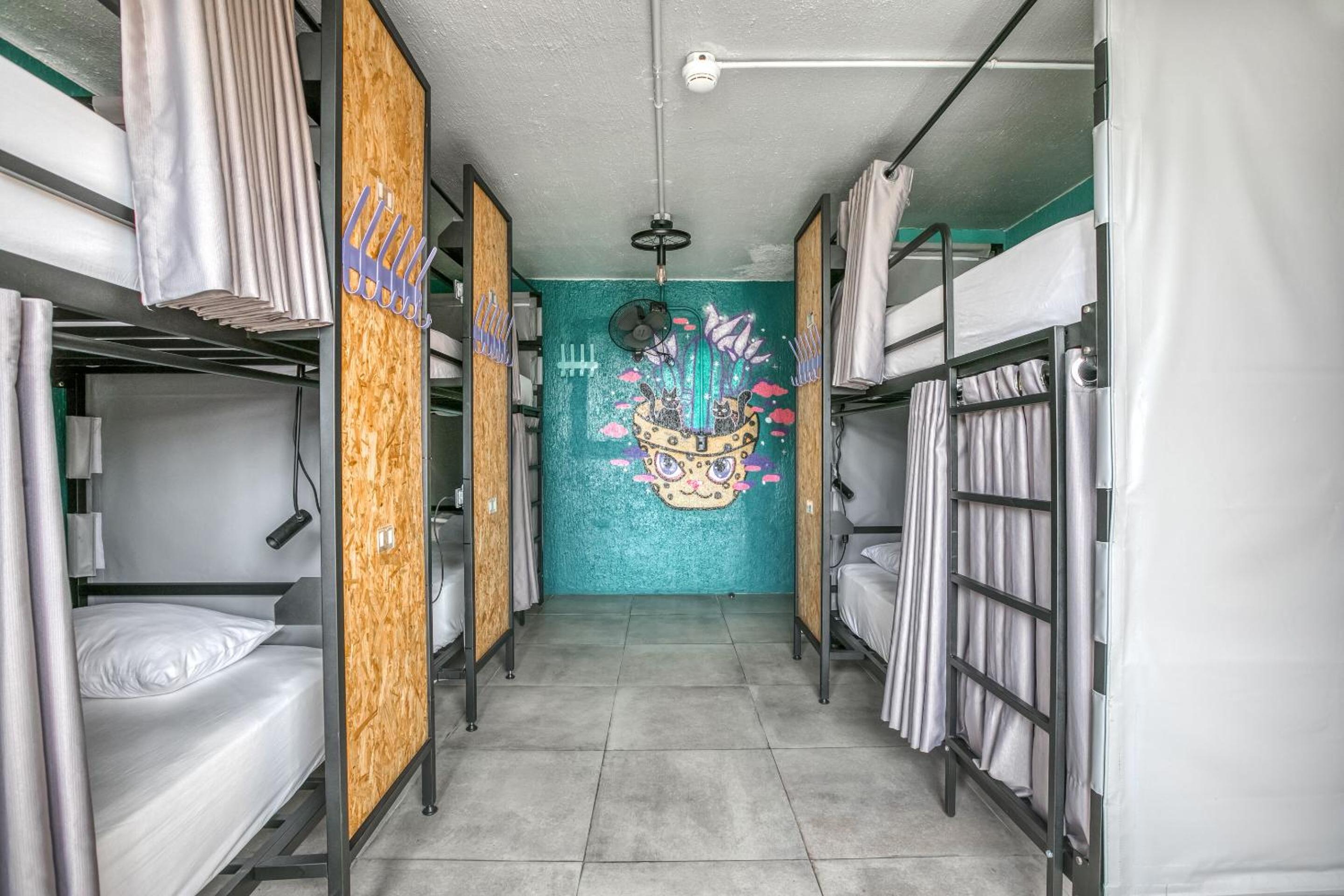 Bed In 8 Bed Dormitory Room photo 1