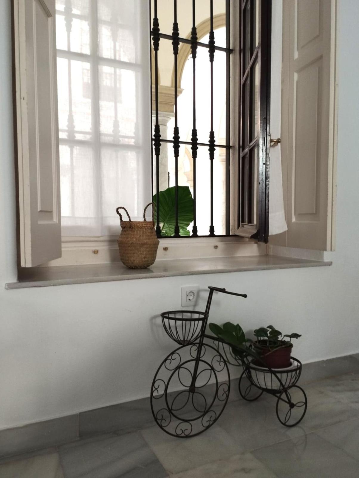 Apartment with Terrace photo 3