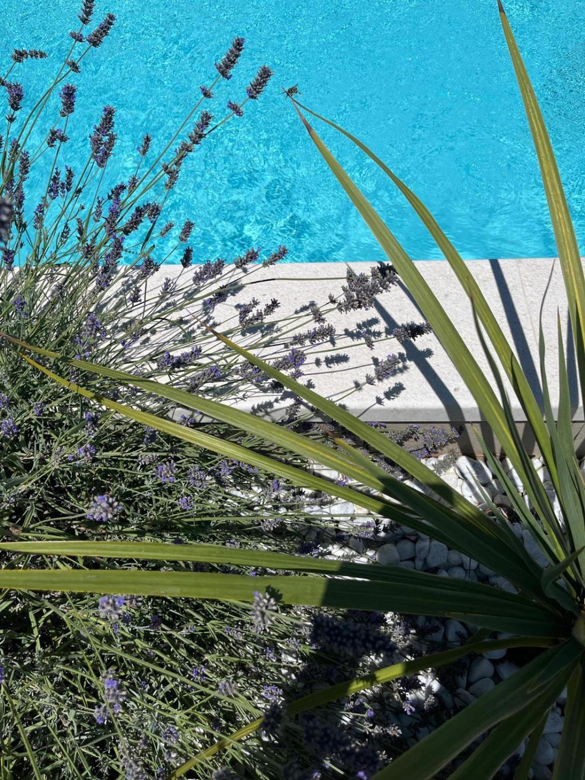 Double Room with Pool View - Photo 21