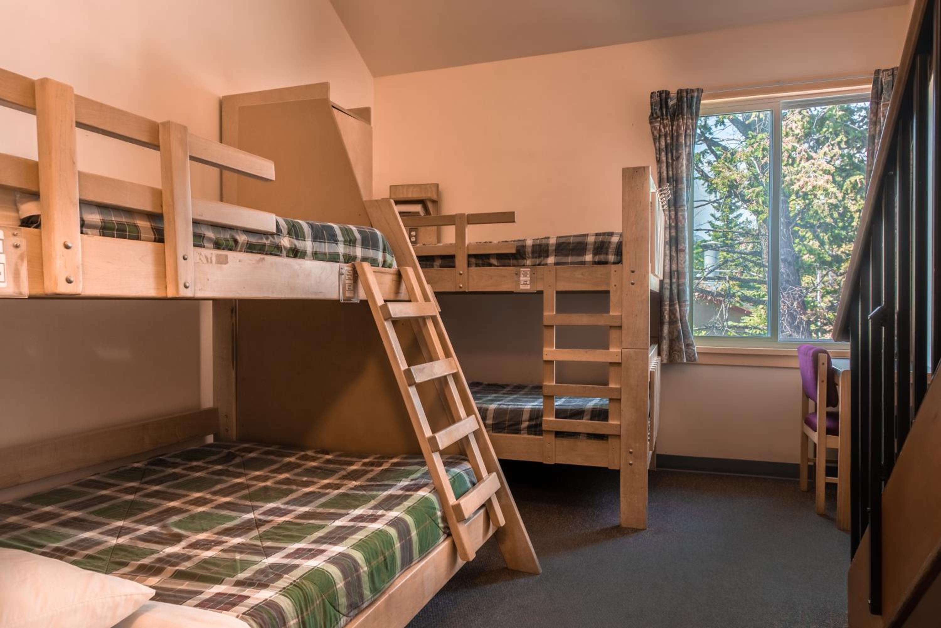 Bed in 6-Bed Mixed Dormitory Room with Private Bathroom photo 1