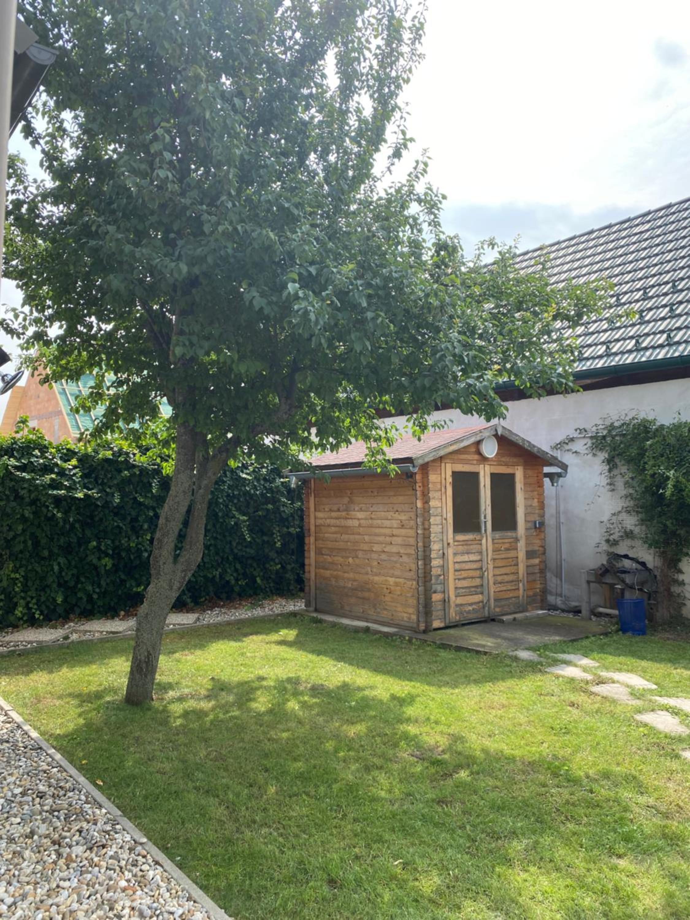 Three-Bedroom House photo 3
