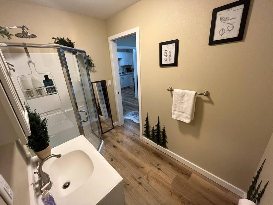 One-Bedroom Apartment photo 3
