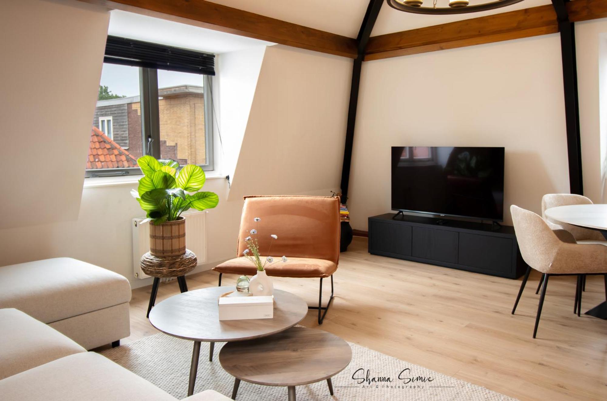 Penthouse Apartment - Photo 4