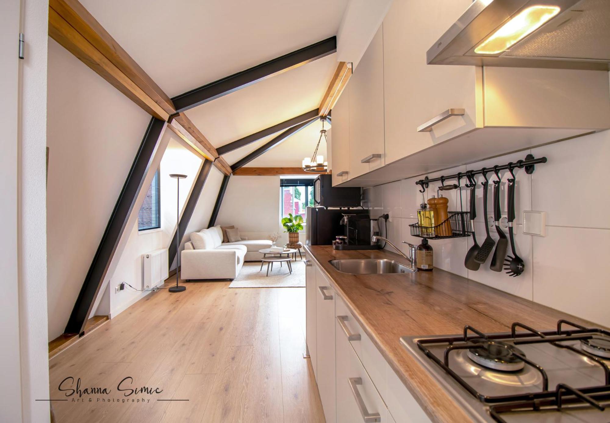 Penthouse Apartment - Photo 2
