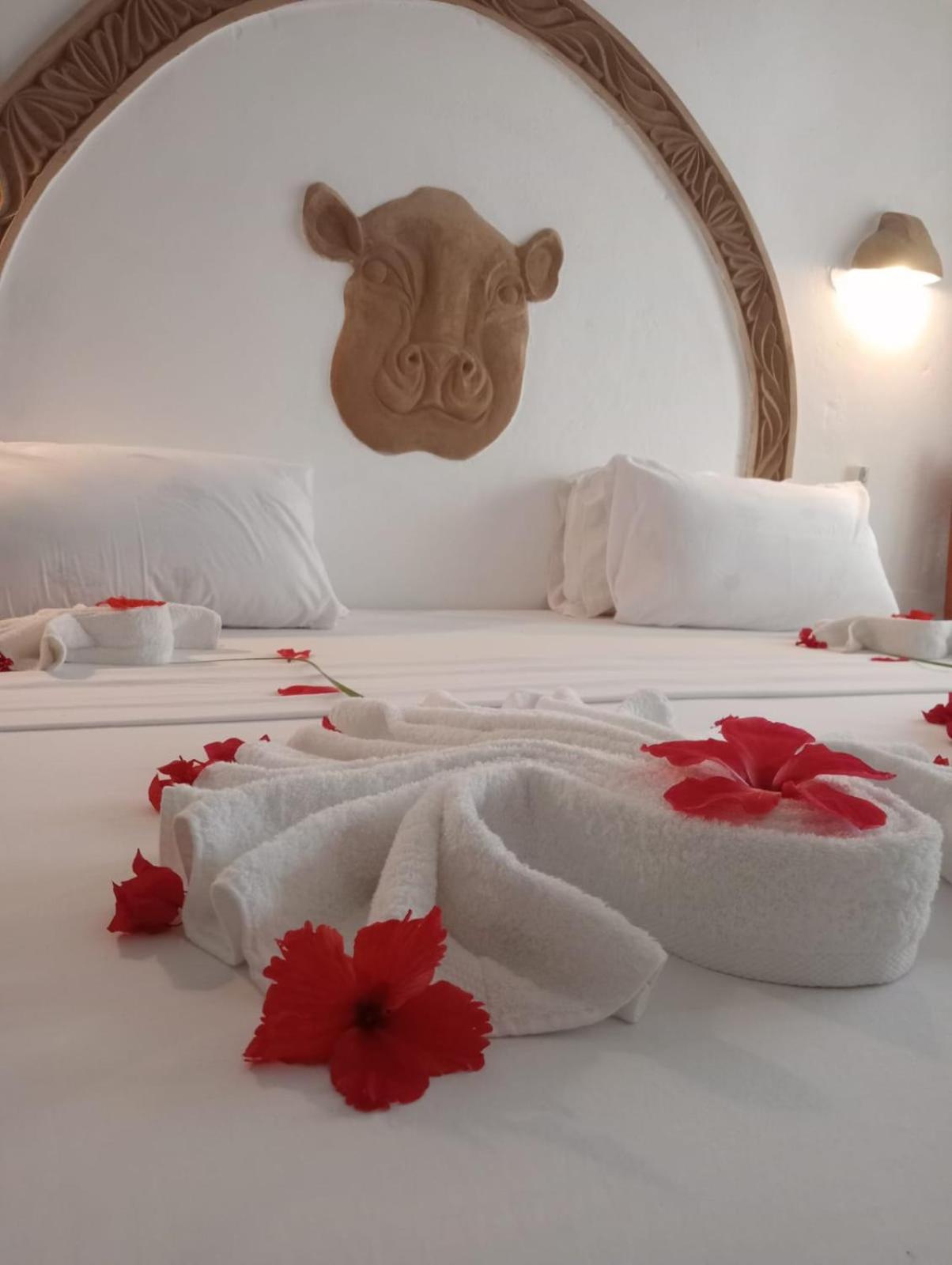 King Room - Photo 13