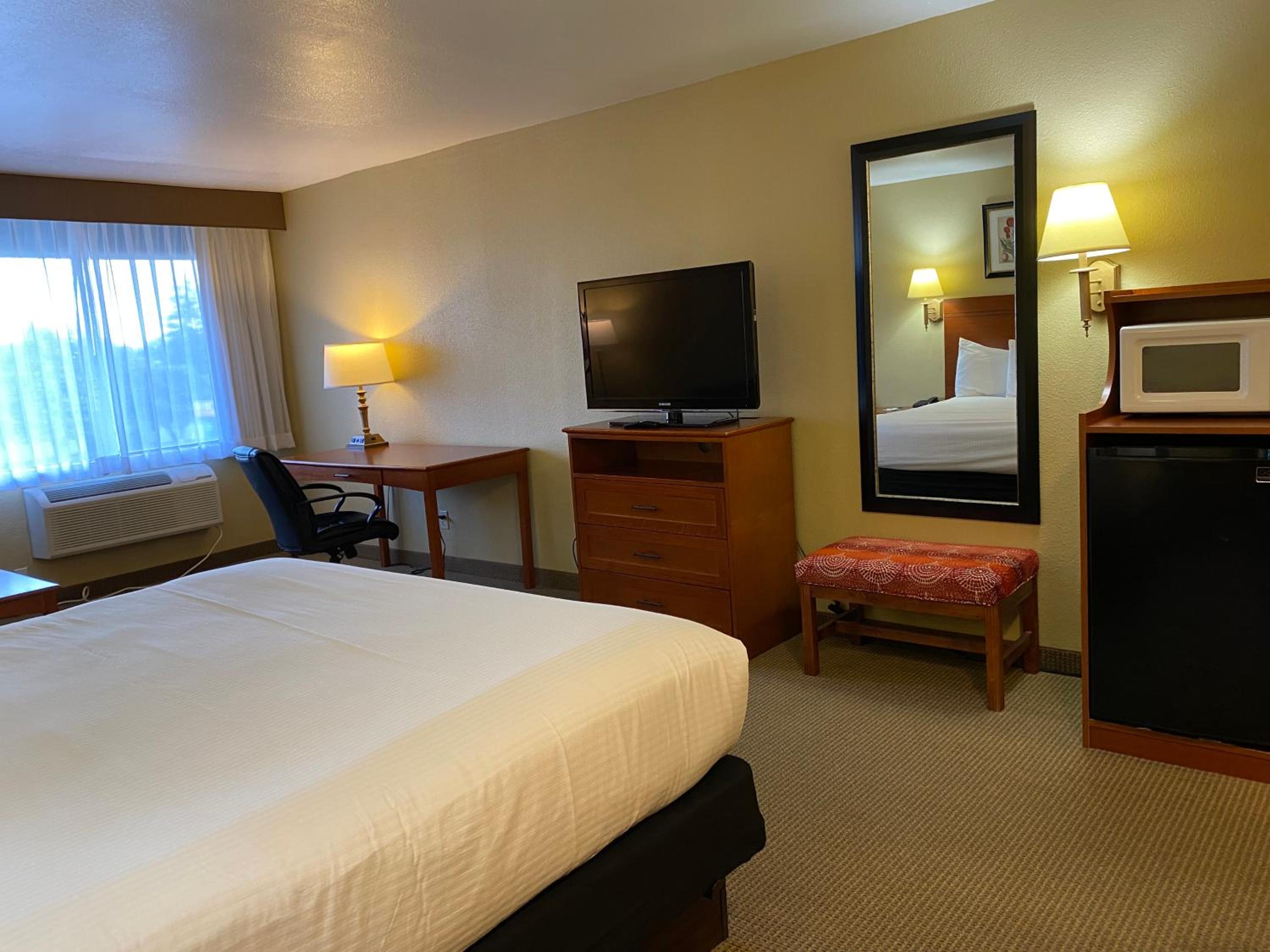 King Room - Non-Smoking photo 3
