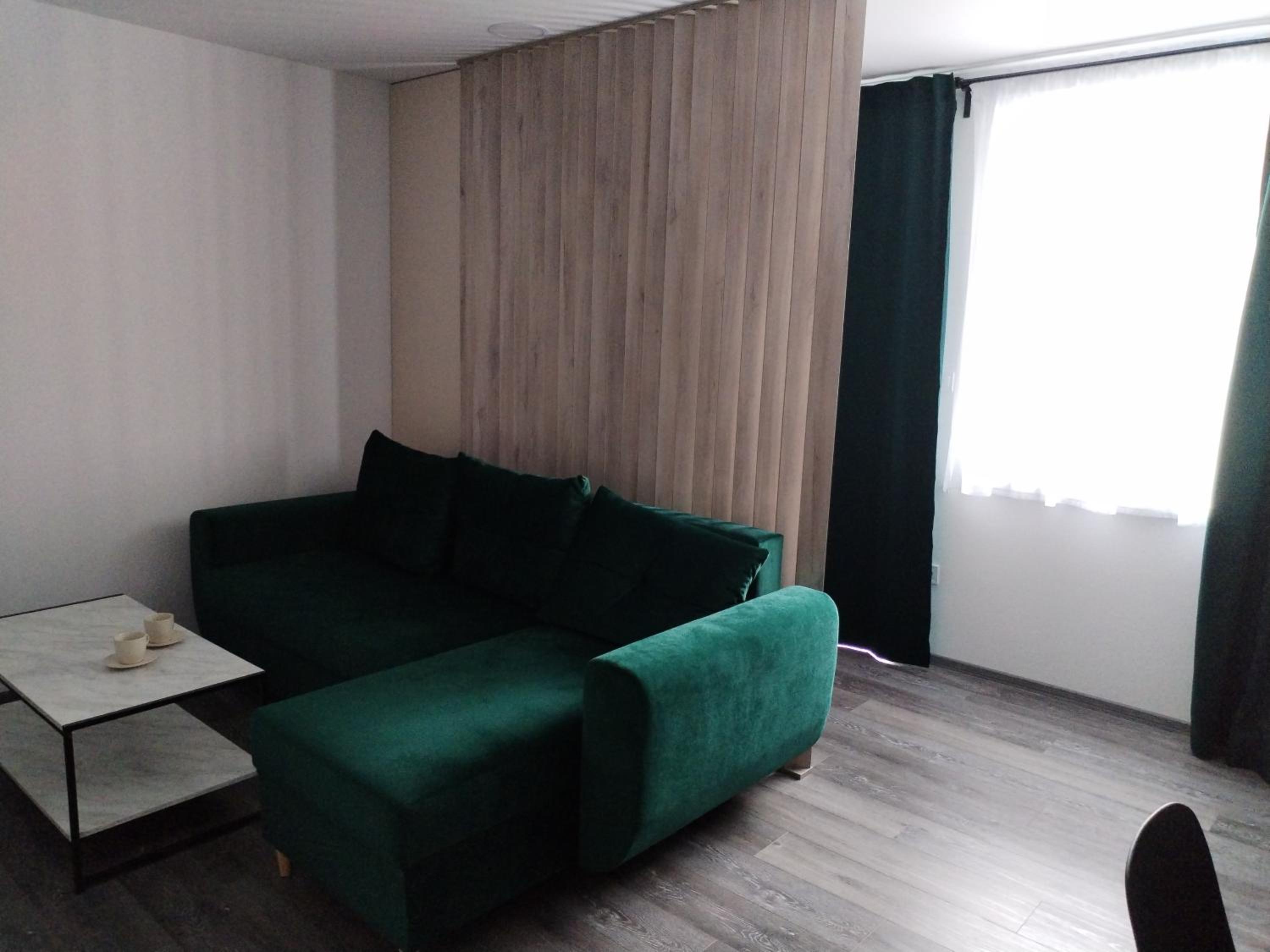 One-Bedroom Apartment photo 2
