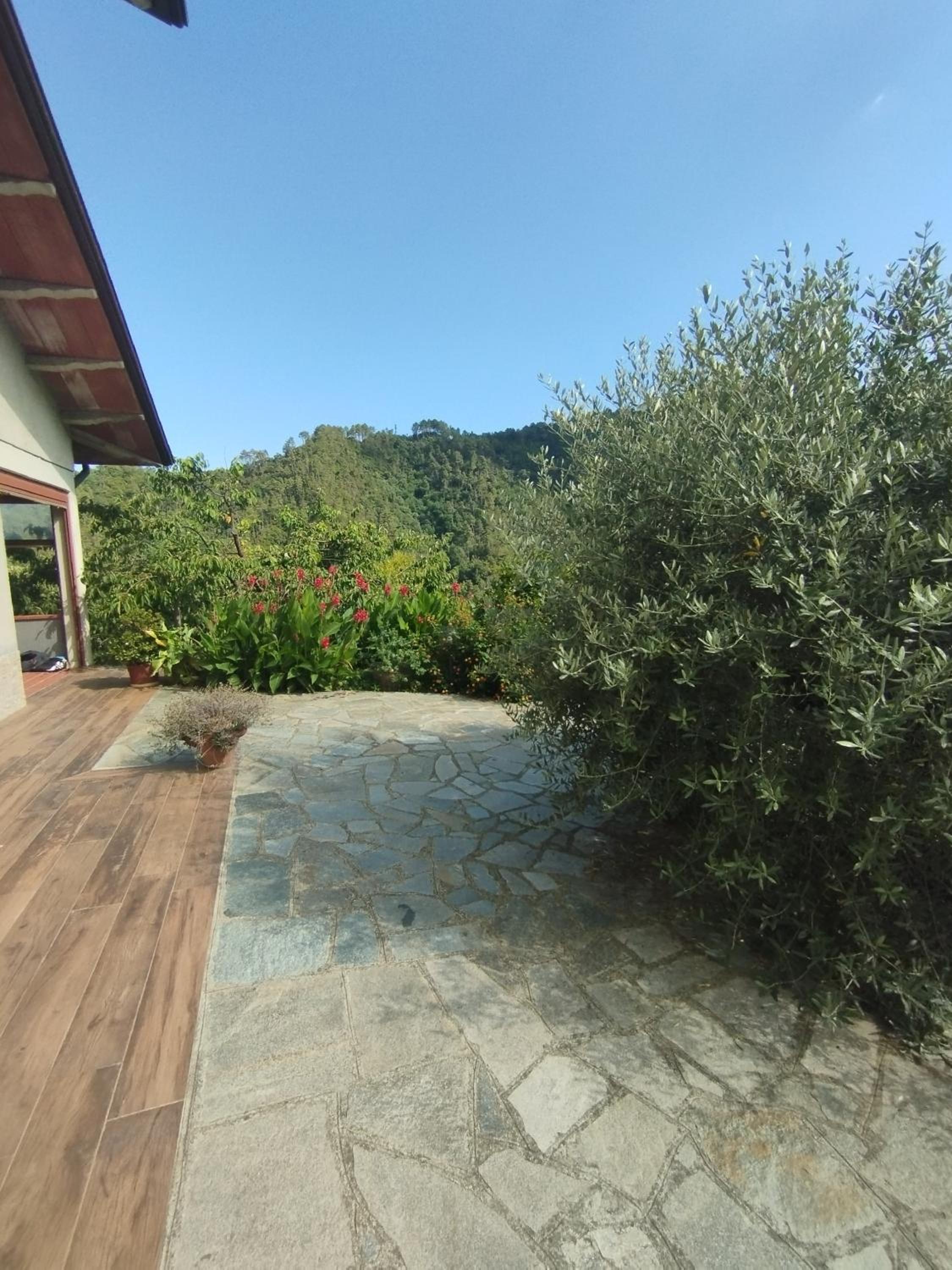 Studio Apartment photo 2