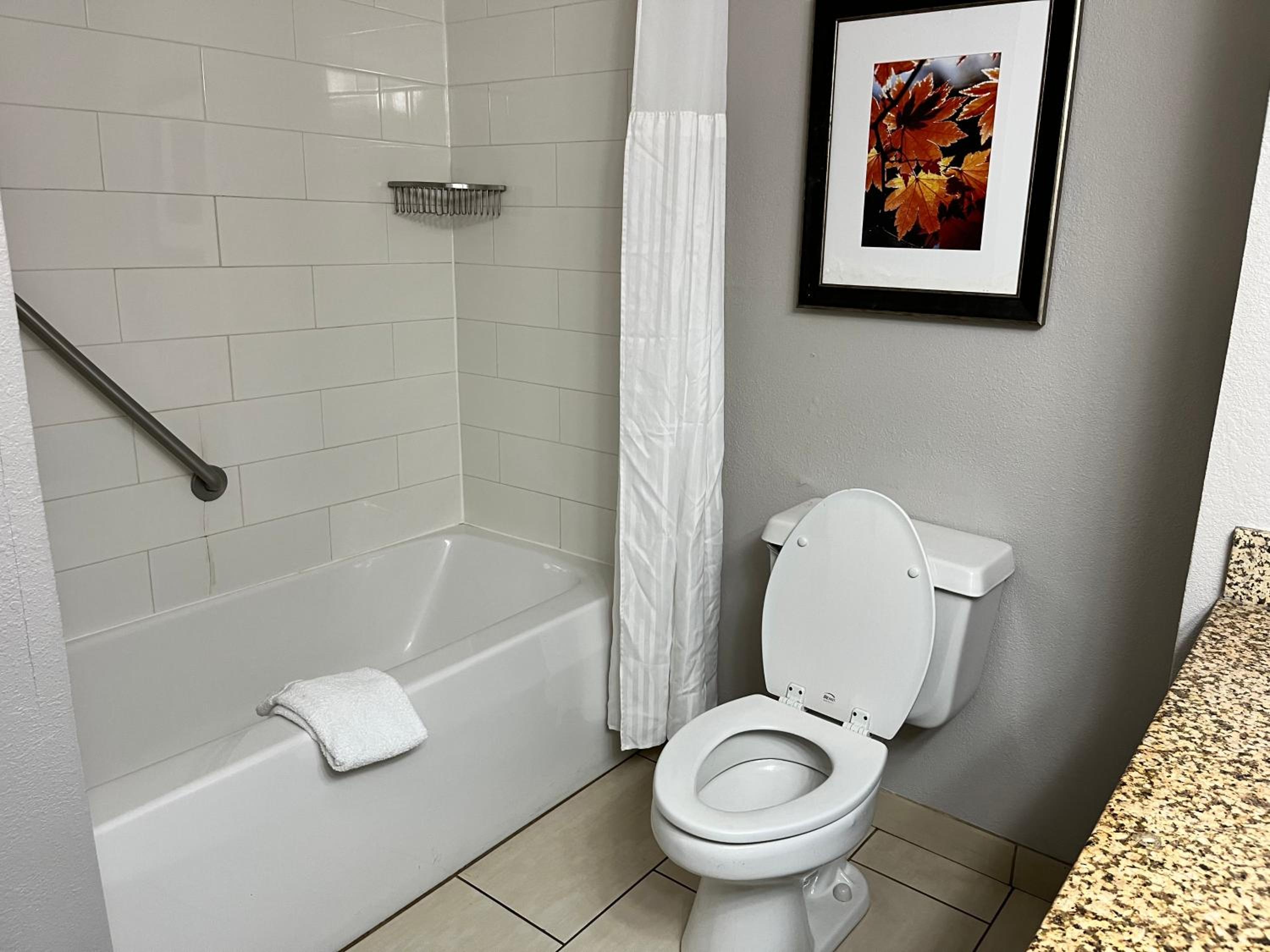 King Room with Roll-In Shower - Disability Access/Non Smoking - Photo 9