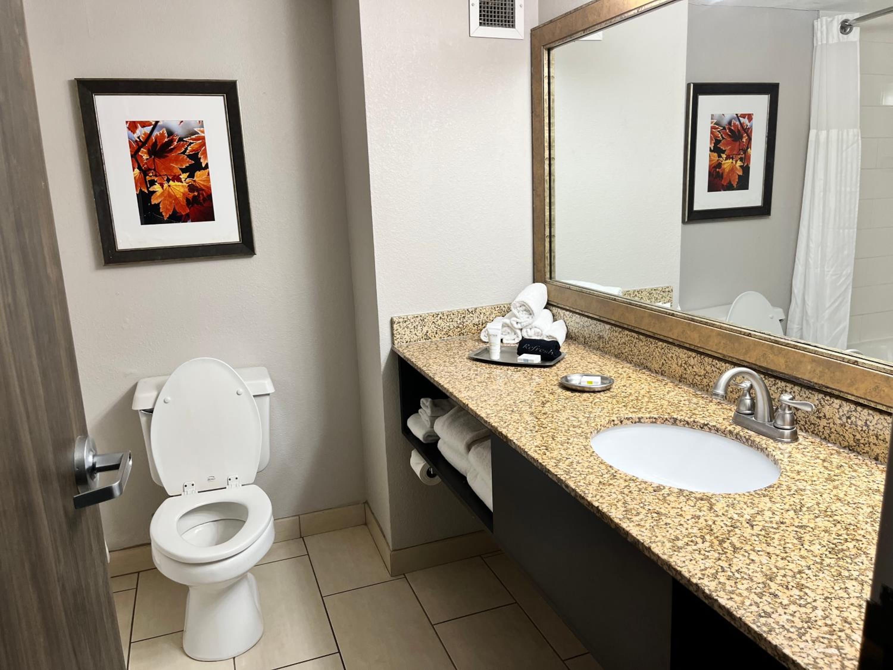 King Room with Roll-In Shower - Disability Access/Non Smoking - Photo 2