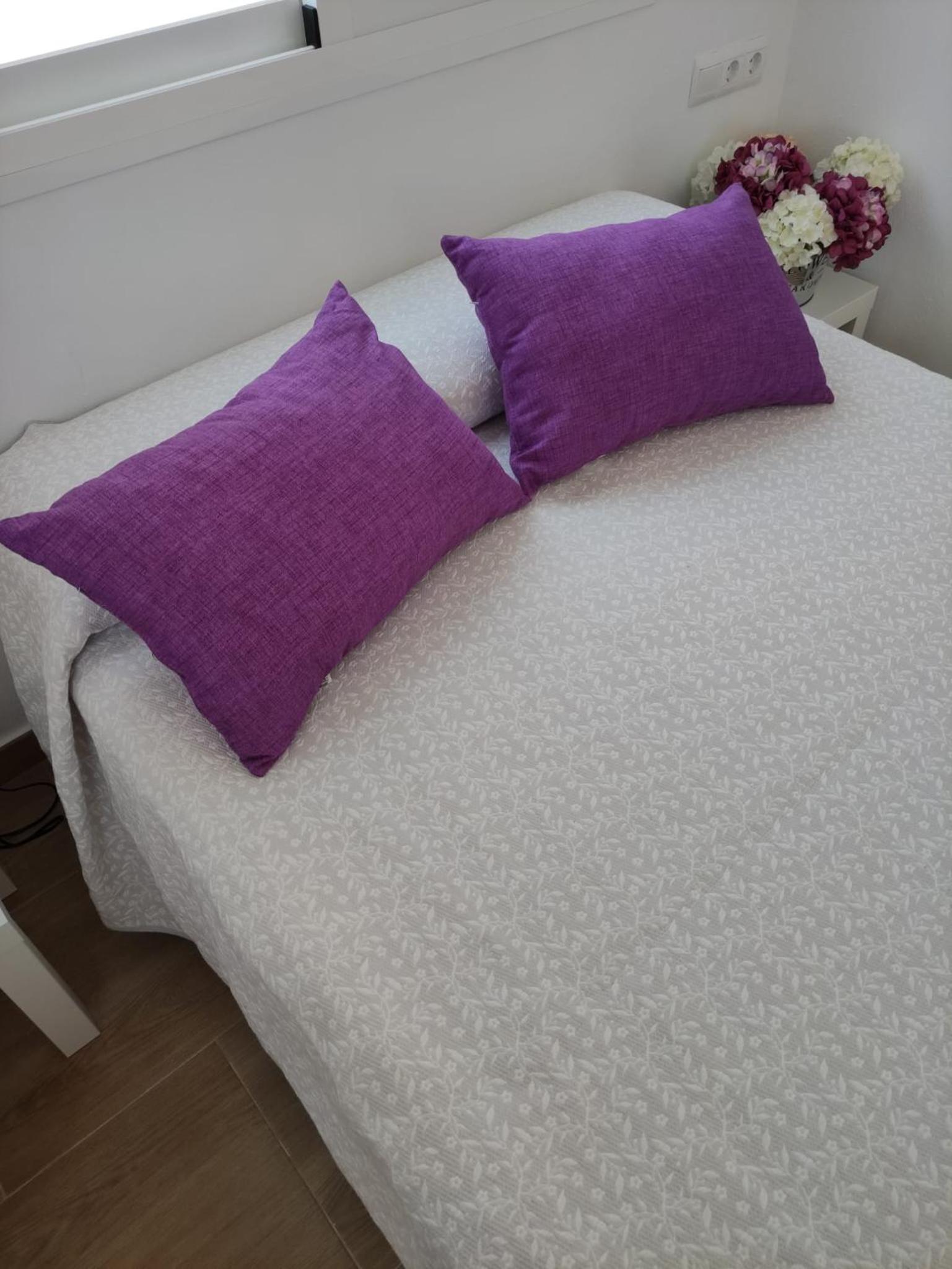 Estudio King con Sofá Cama