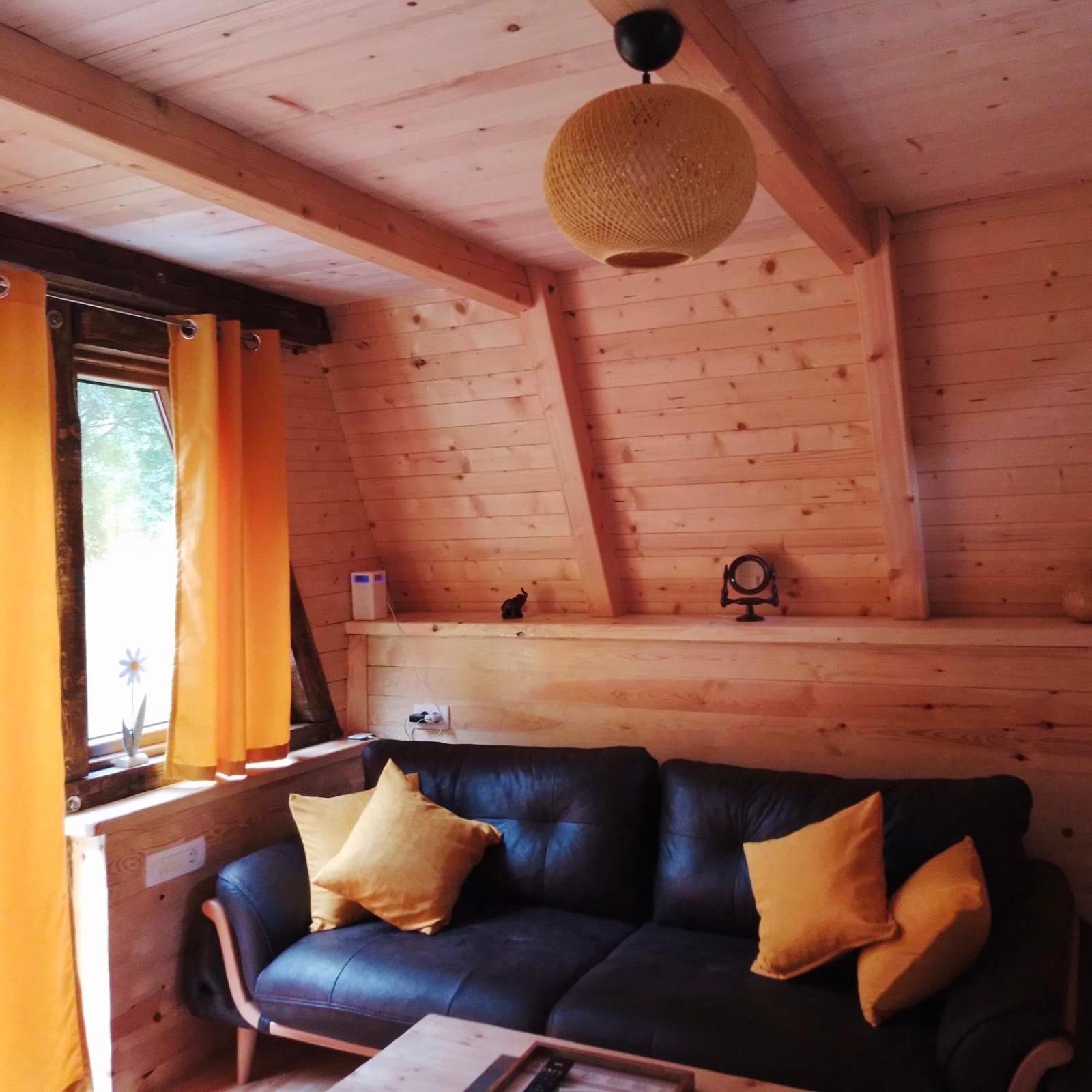 One-Bedroom Apartment - Mountain View