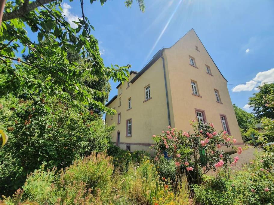 Helle Ferienwohnung  -Südeifel bei Neuerburg photo 2