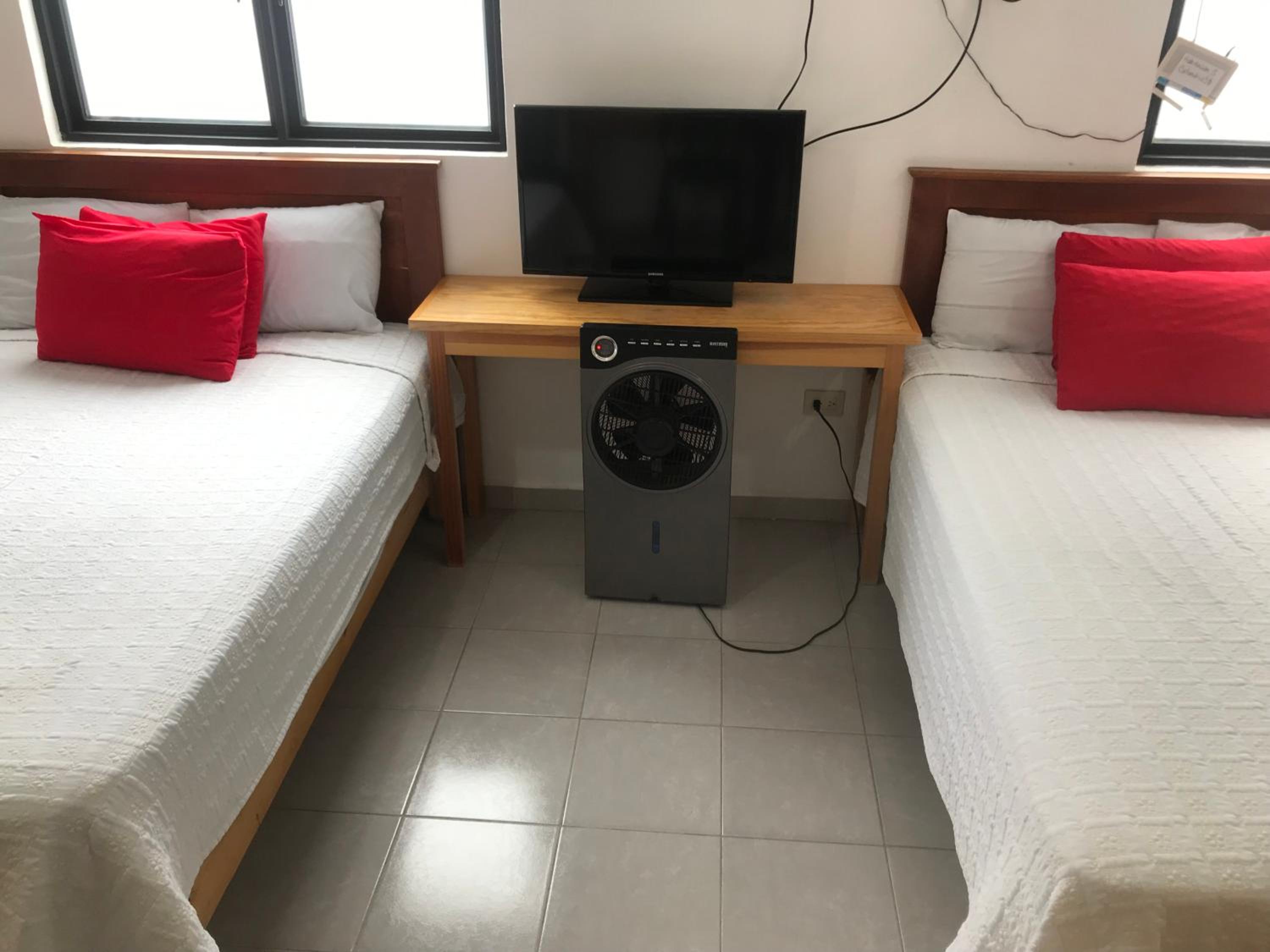 Twin Room photo 1