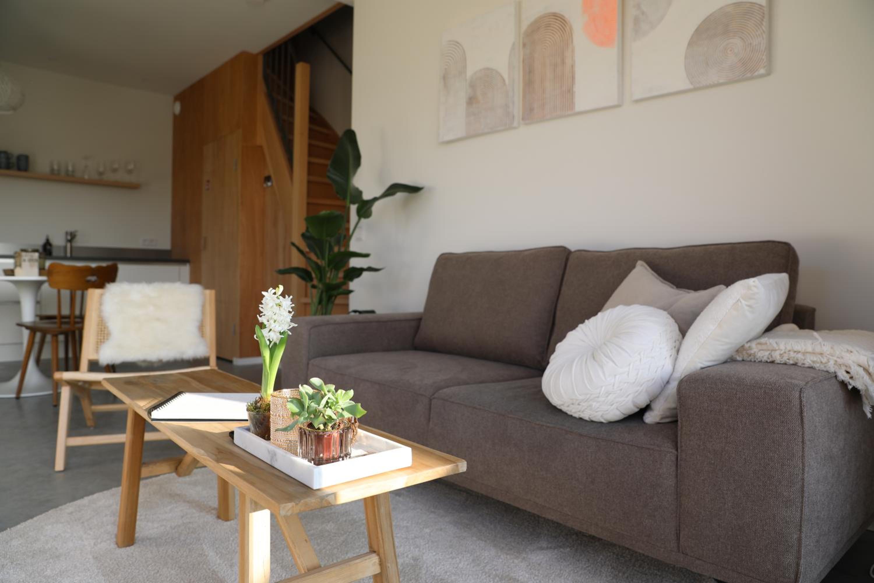 Apartment with Terrace photo 3