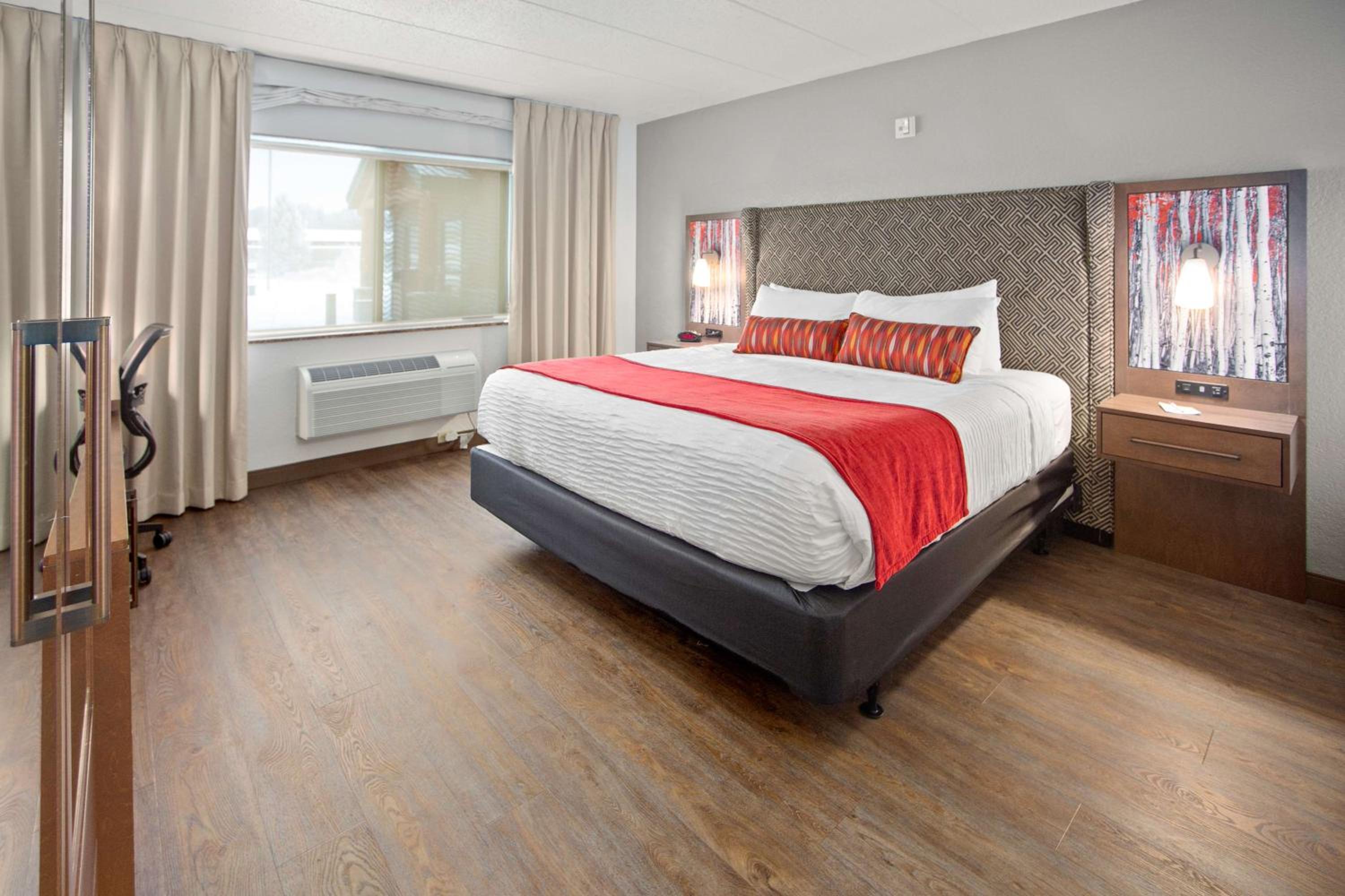 King Room - Disability Access - Photo 4