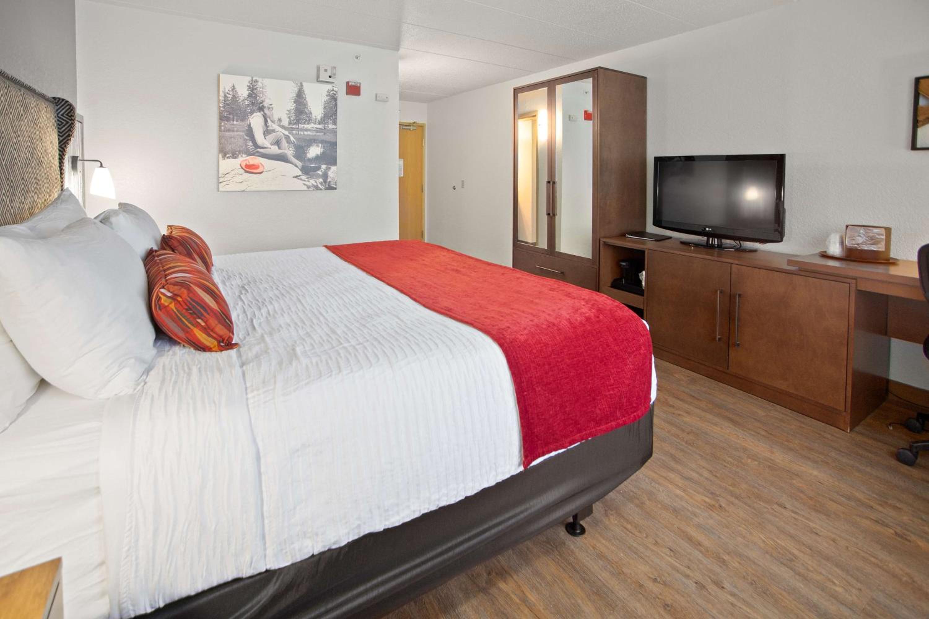 King Room - Disability Access - Photo 3