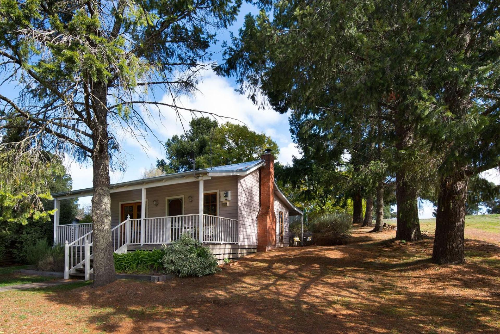Vacation Home photo 3
