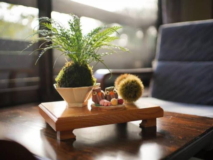 Japanese-Style Room - Photo 4