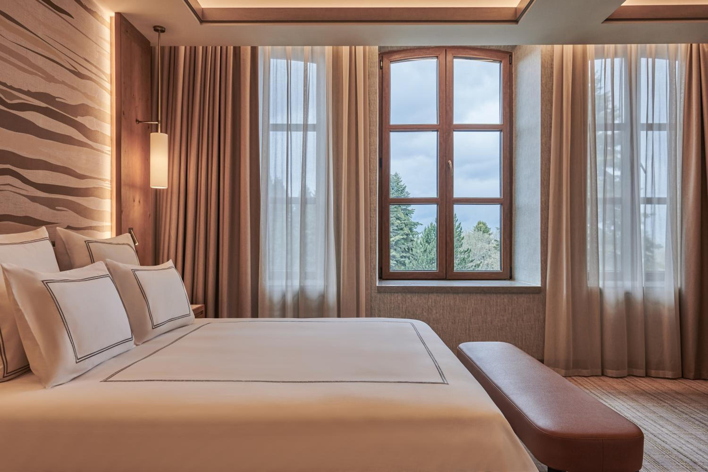  Deluxe Suite with Forest View - Photo 1