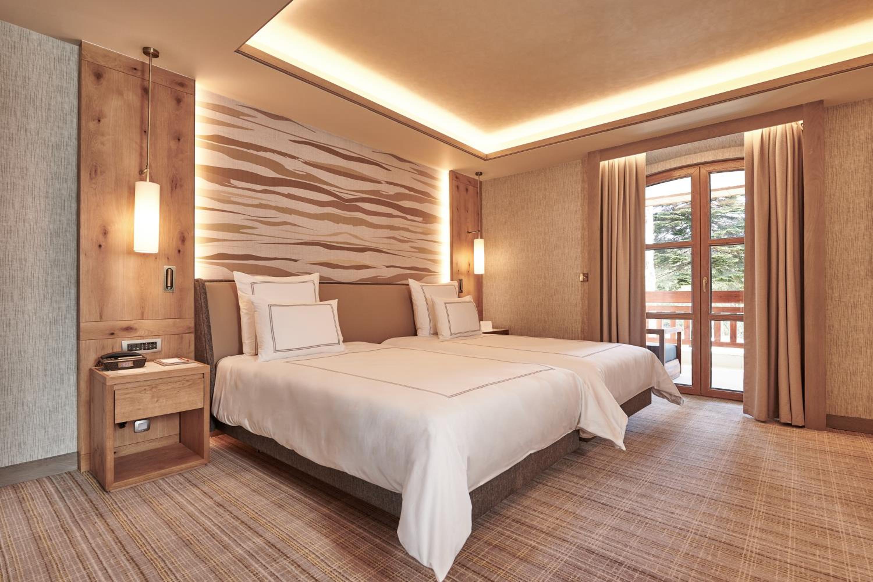 Swiss Deluxe Twin Room with Terrace - Photo 1