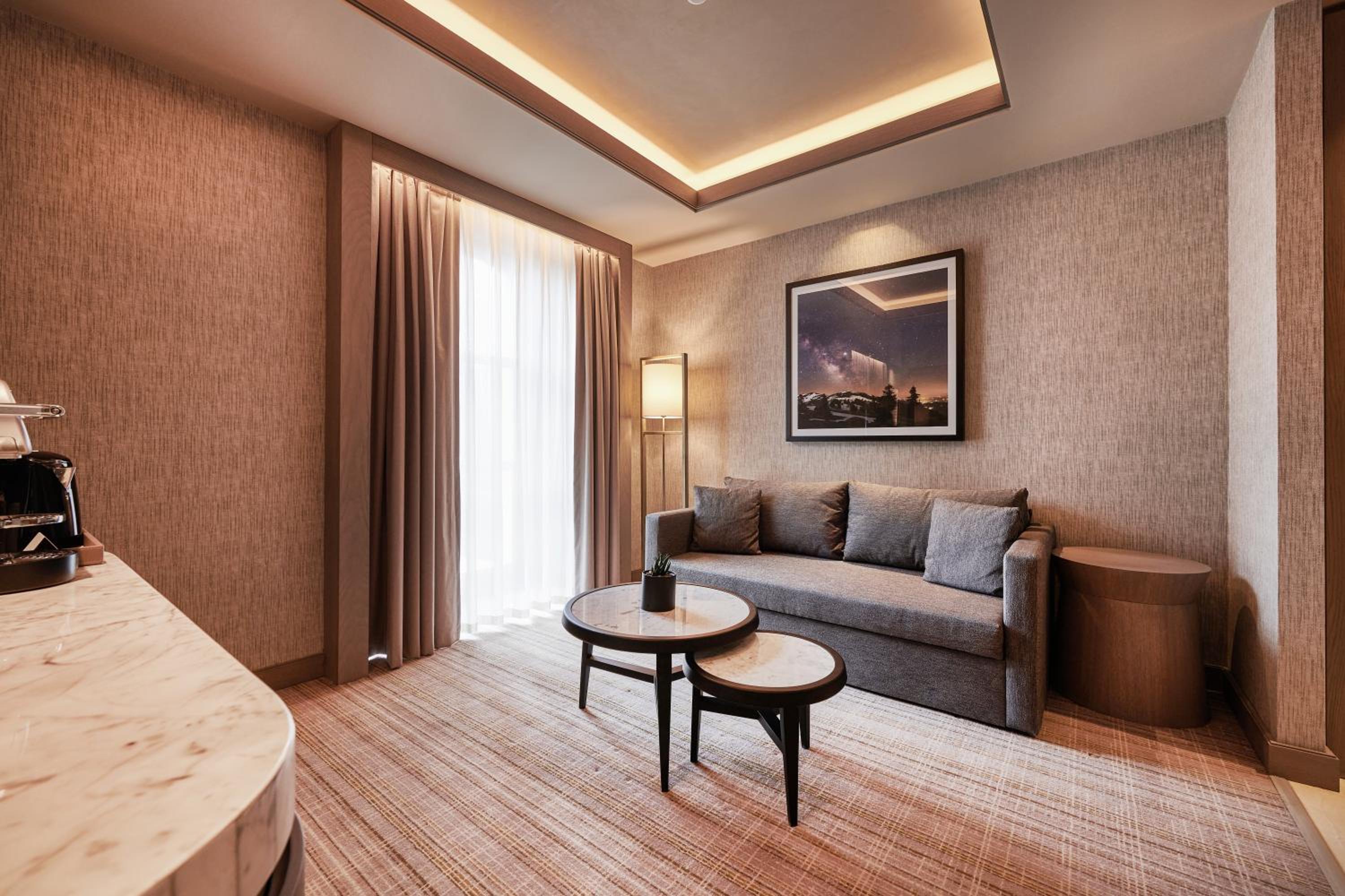 Deluxe Suite with Terrace - Photo 4
