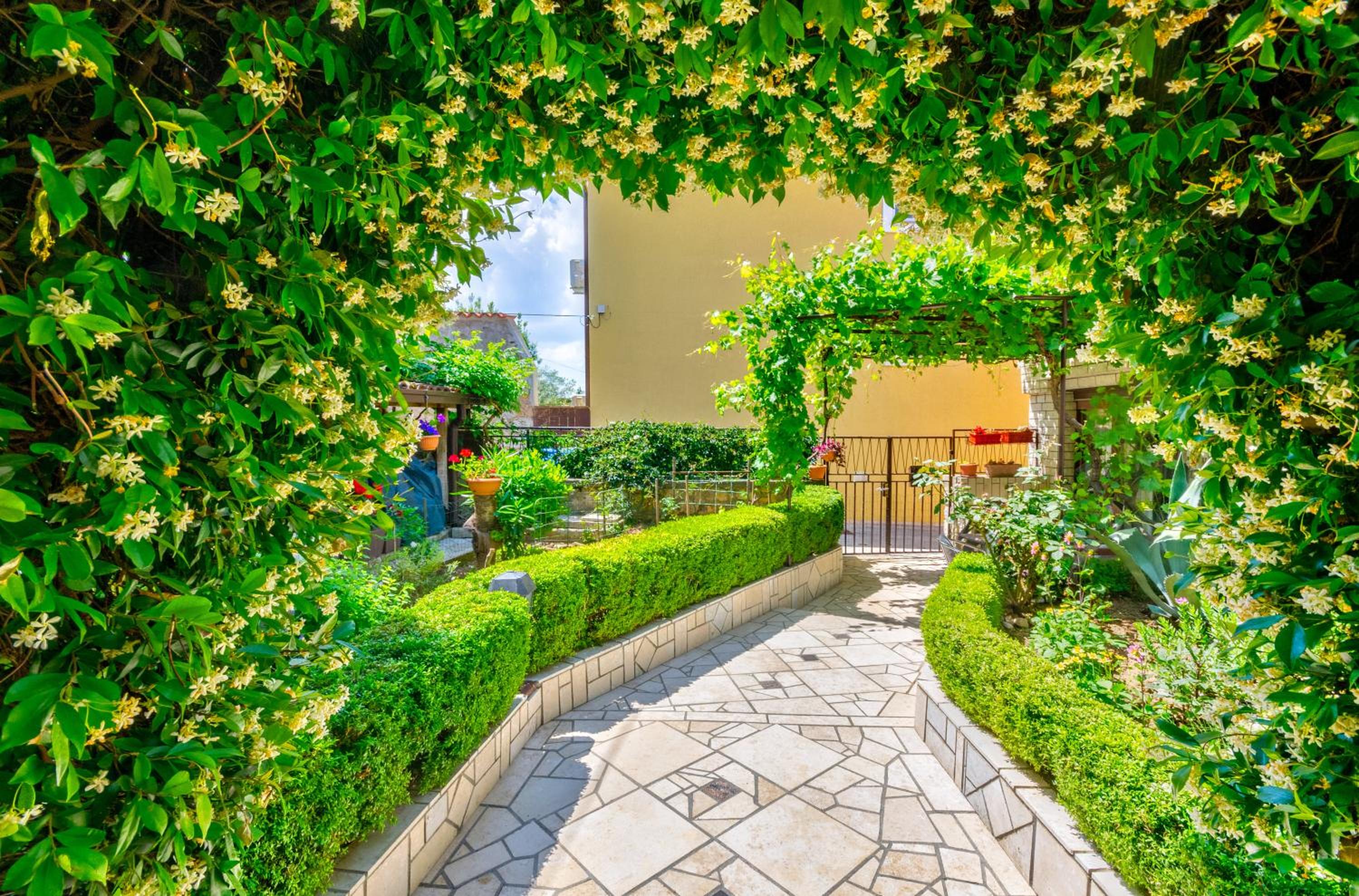 Apartment with Garden View photo 3