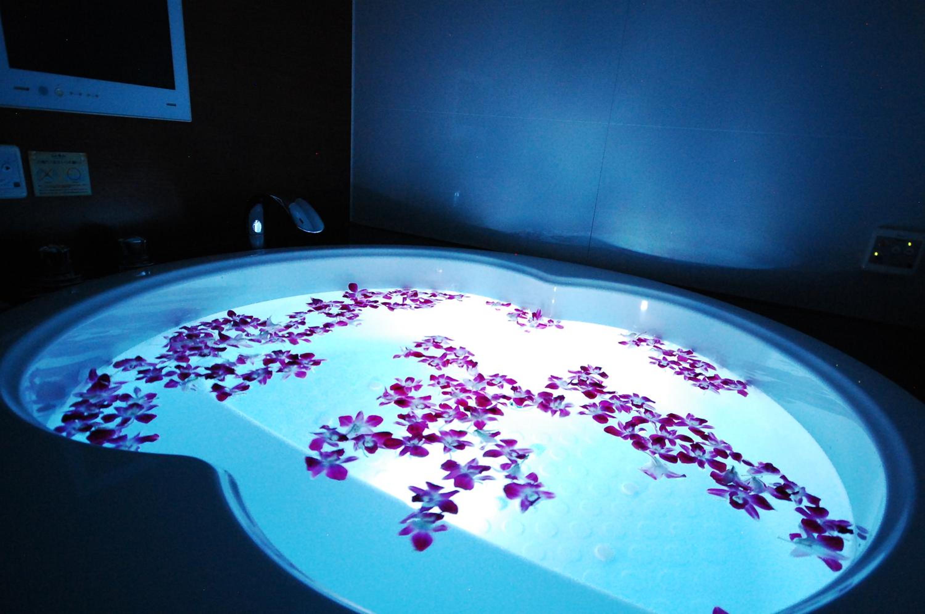 Deluxe Canopy Room | King Bed, Large Blower Bath & Massage Chair - Non-Smoking - Photo 2