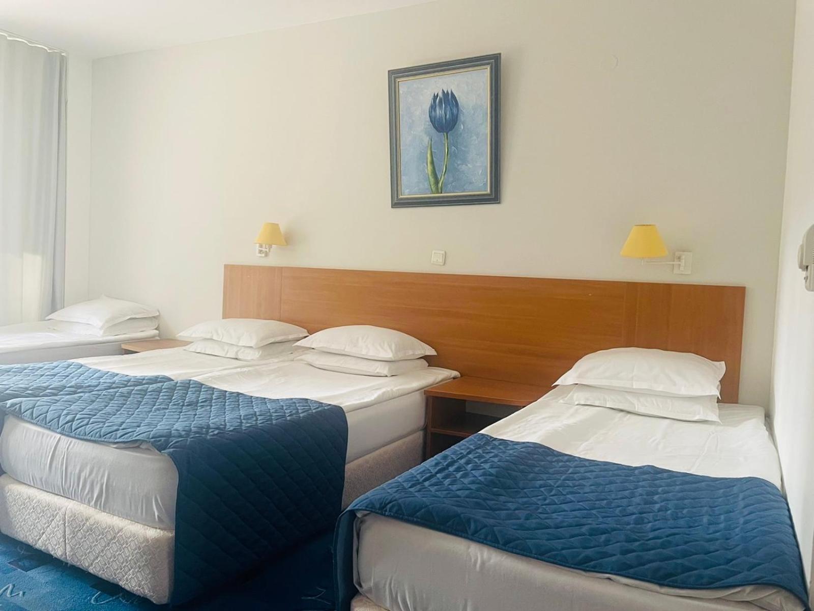 Quadruple Room with Park View and balcony photo 1
