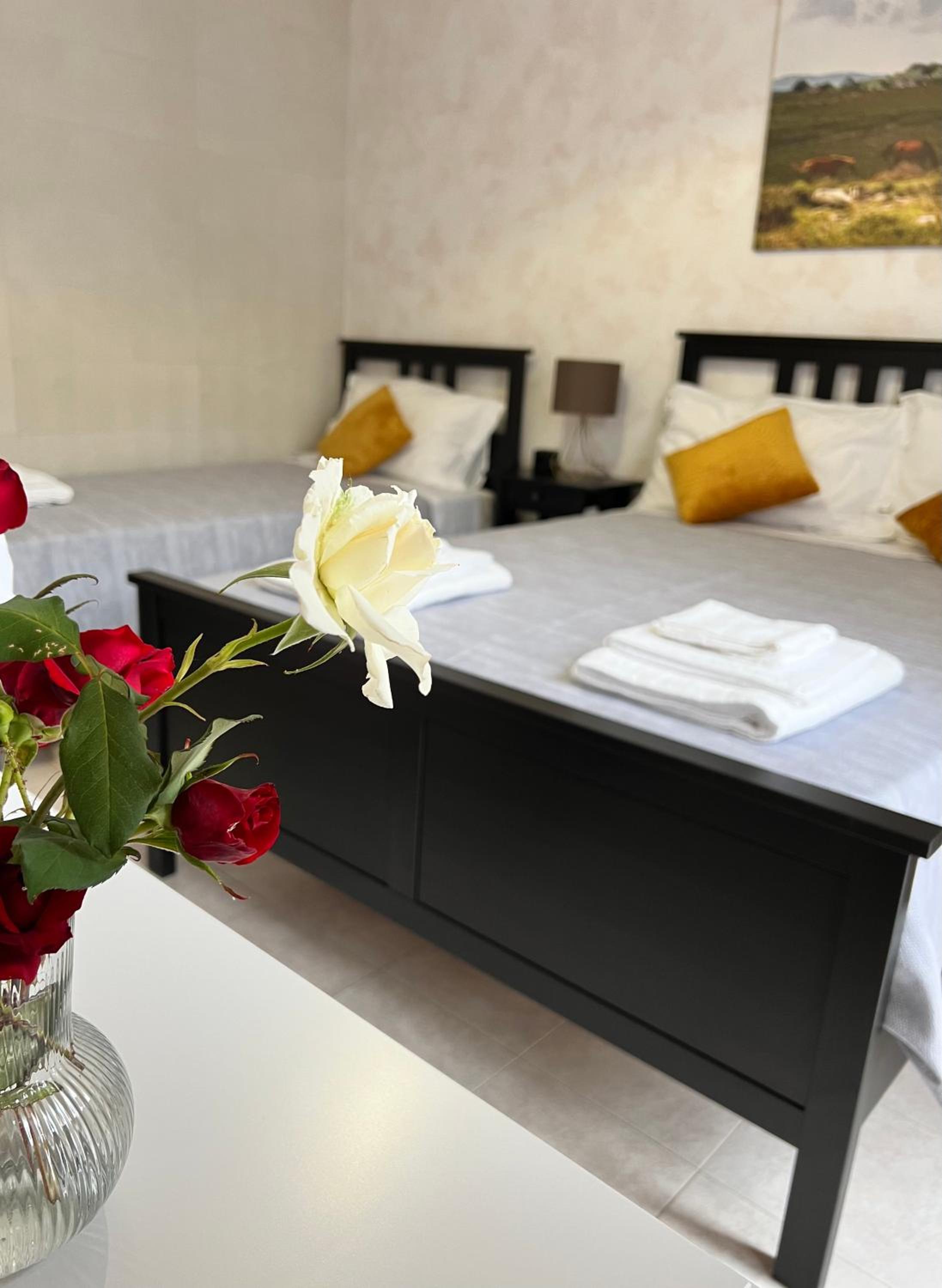 Triple Room photo 3