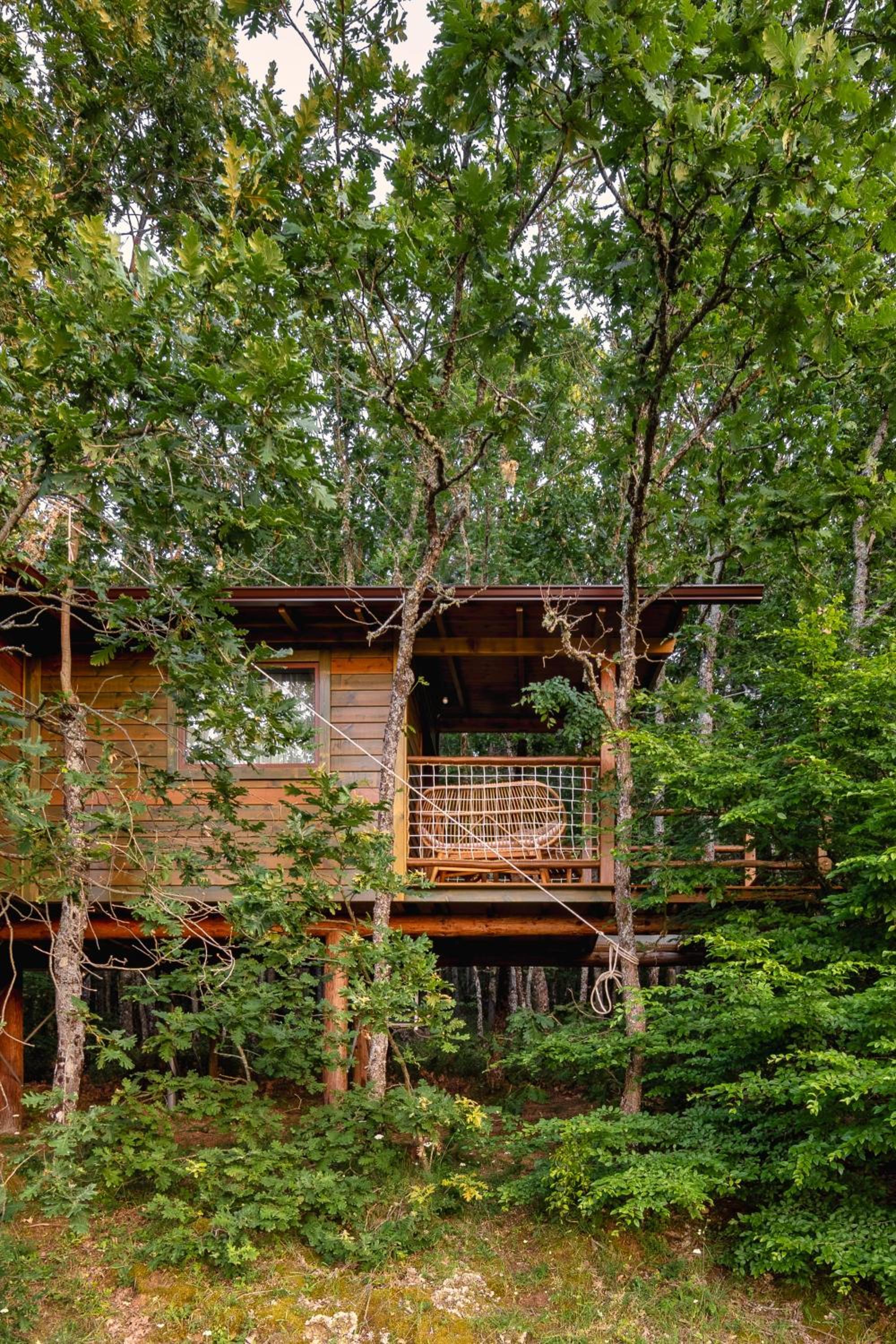 Deluxe Bungalow photo 3