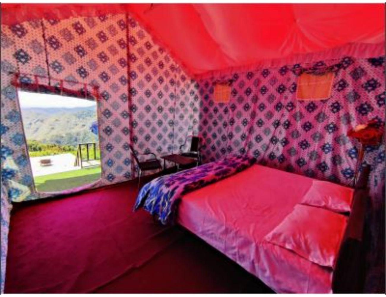 Tent photo 2
