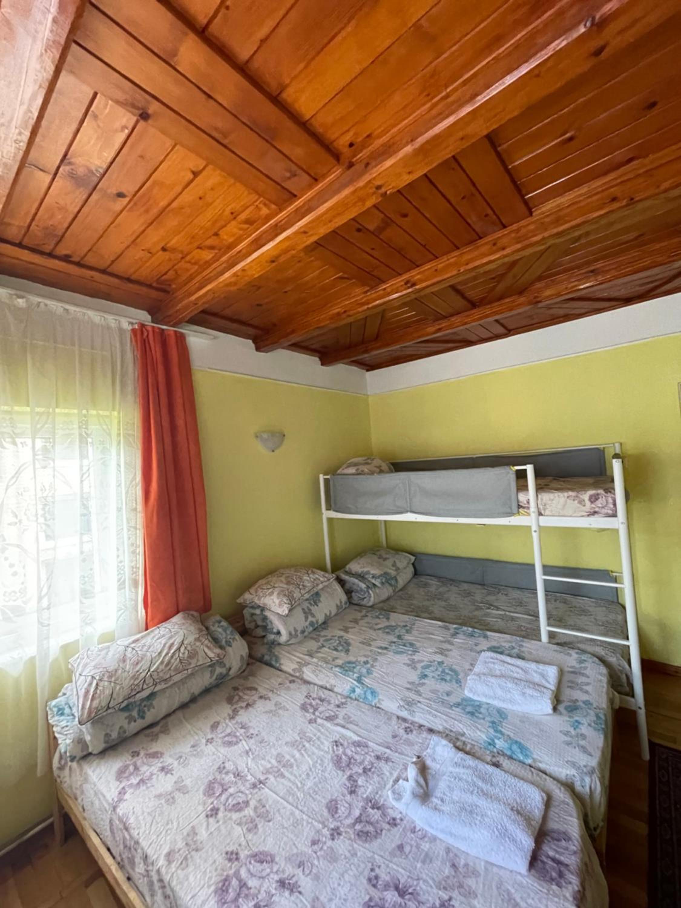 Deluxe Double or Twin Room with Mountain View photo 1