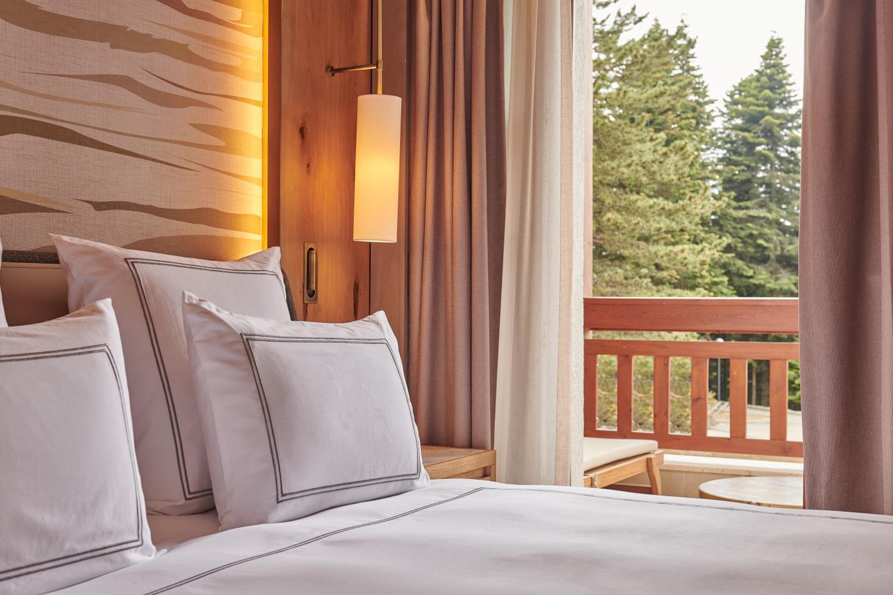 Swiss Deluxe King Room with Terrace - Photo 1