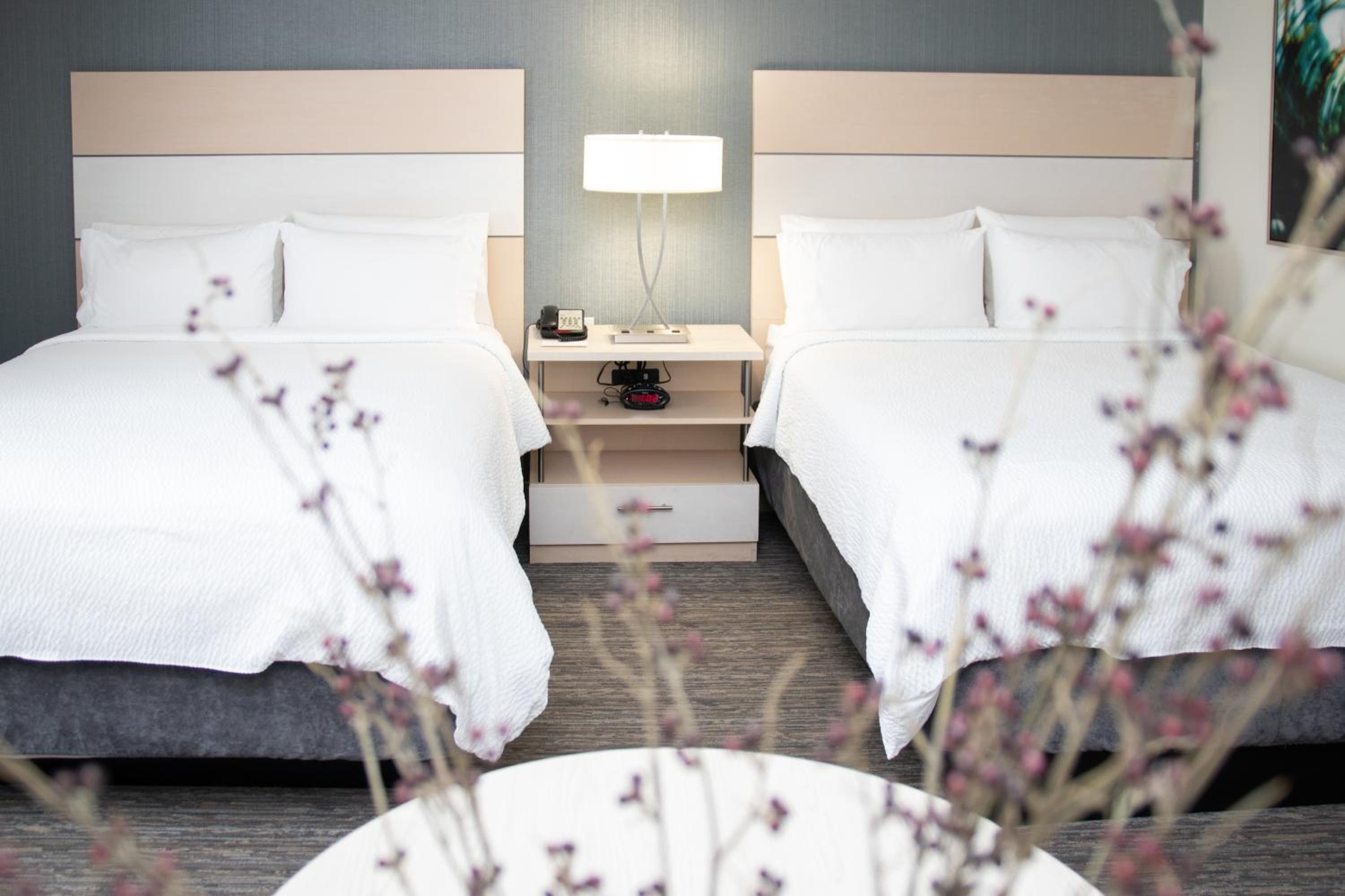 Studio Suite with Two Double Beds thumbnail 5