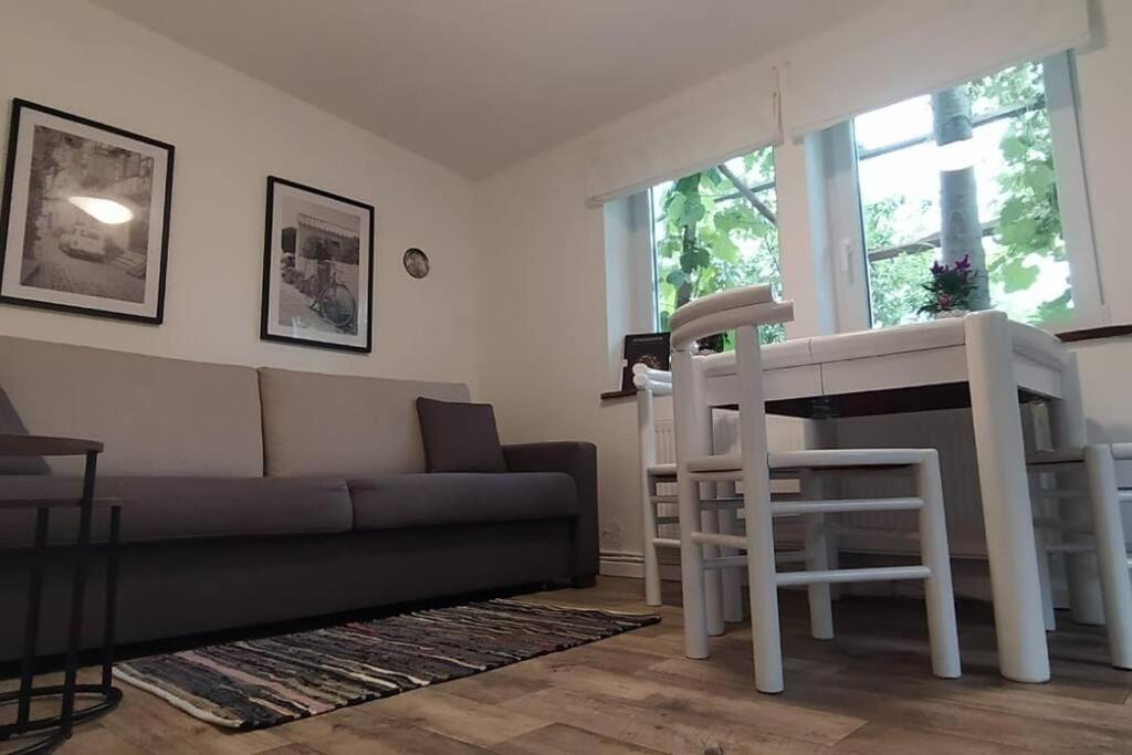 One-Bedroom Apartment photo 3