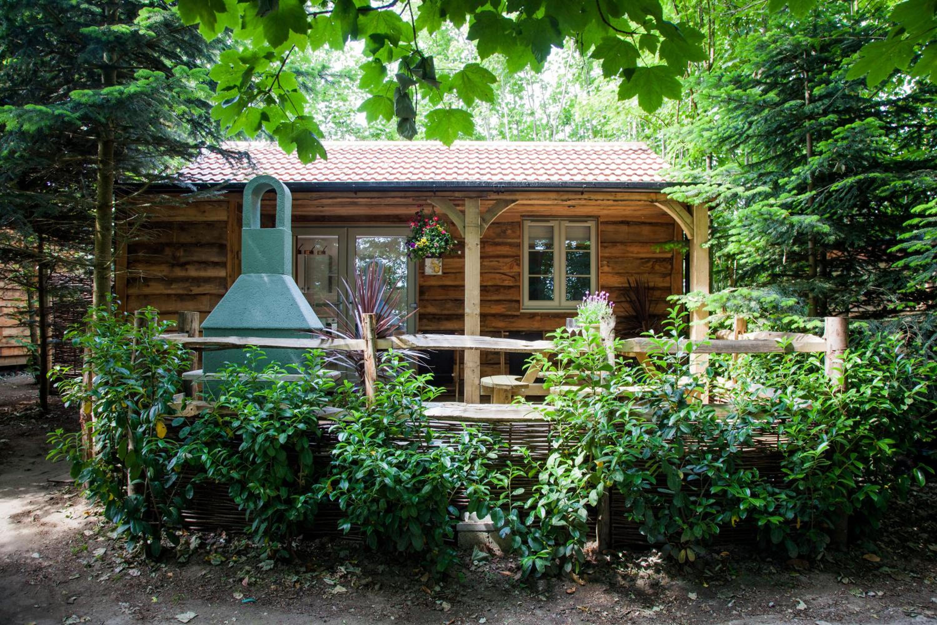 One-Bedroom Chalet - Squirrel  photo 3