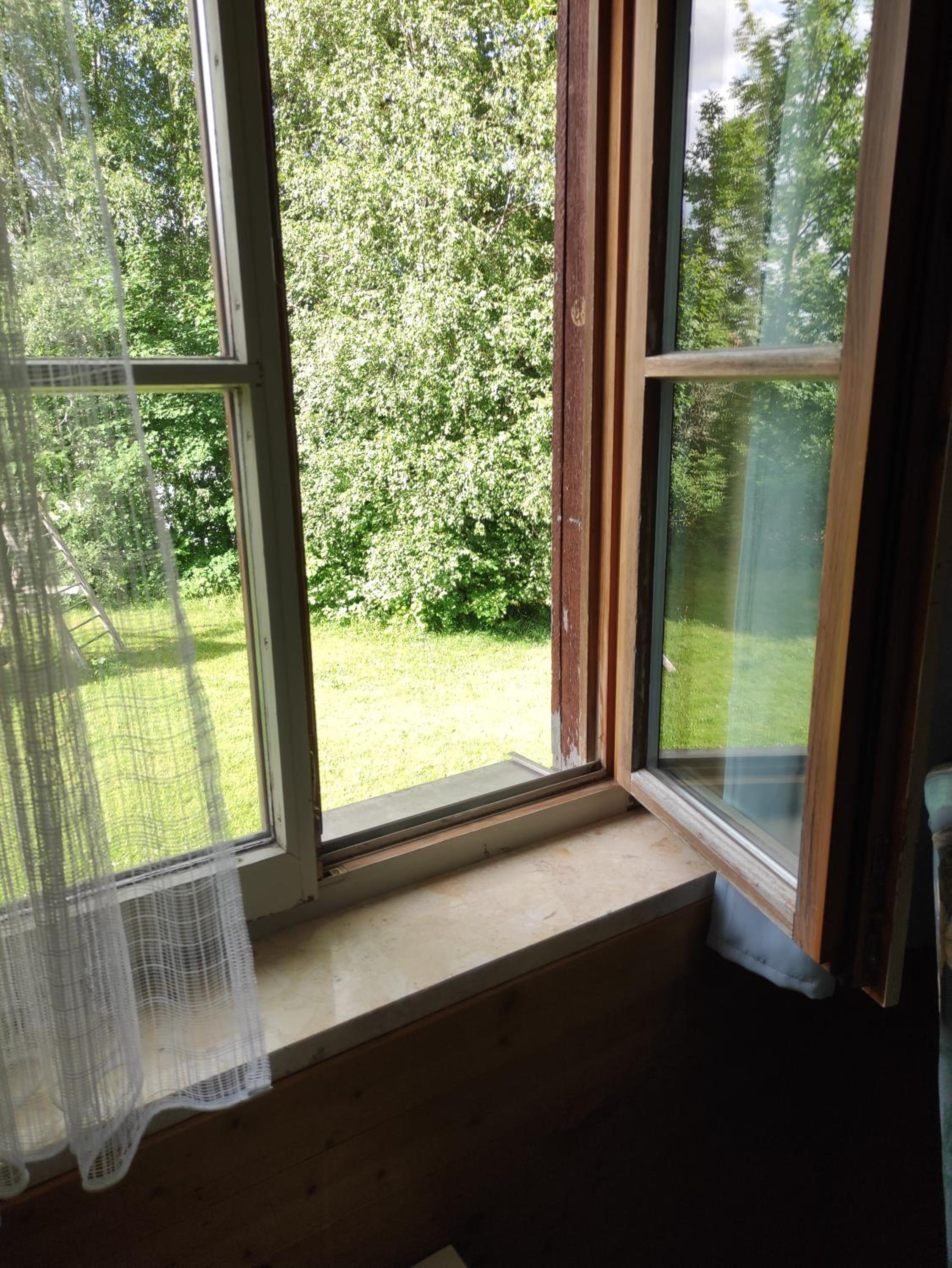 Large Single Room photo 2