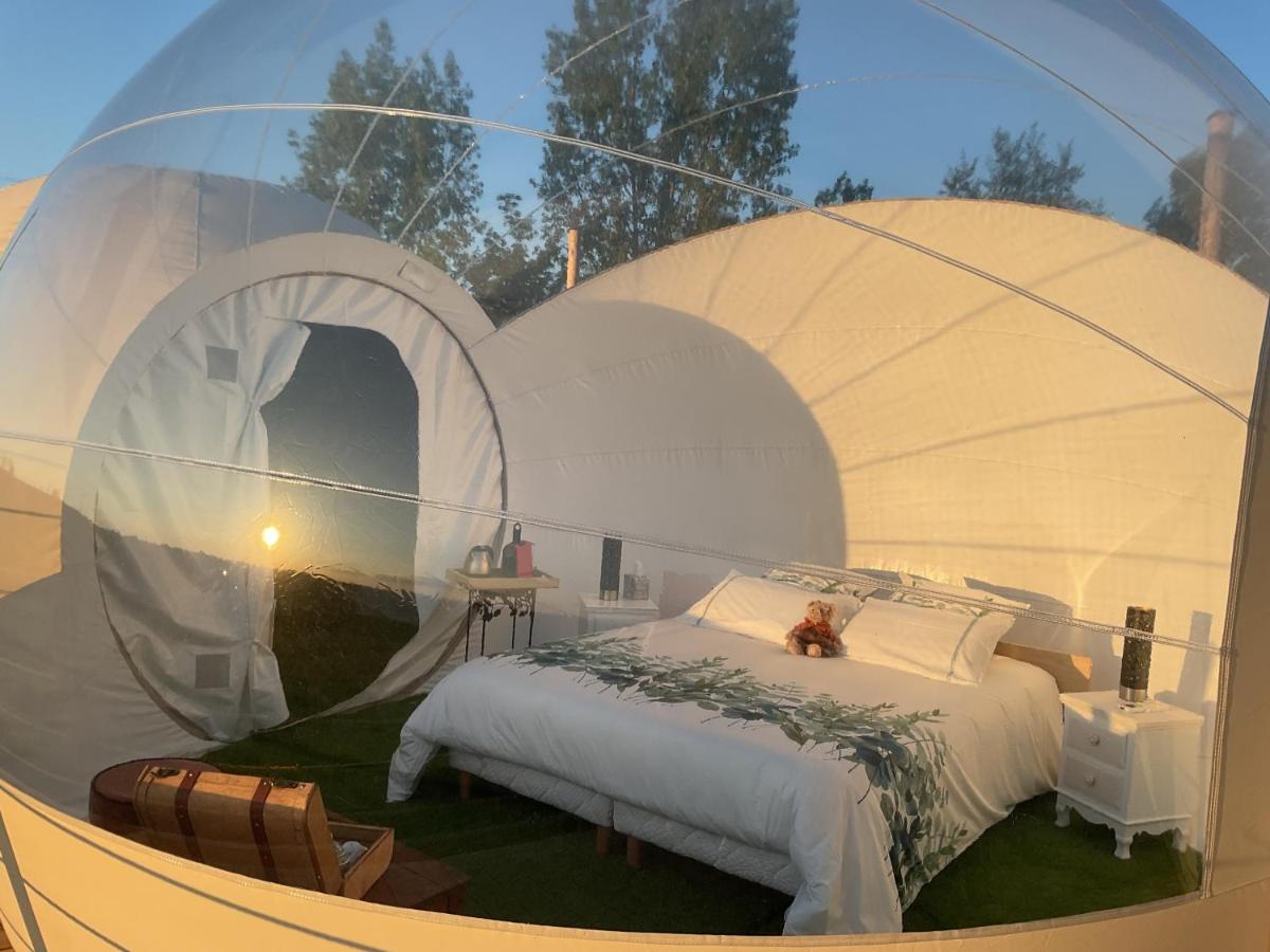 Tent photo 2
