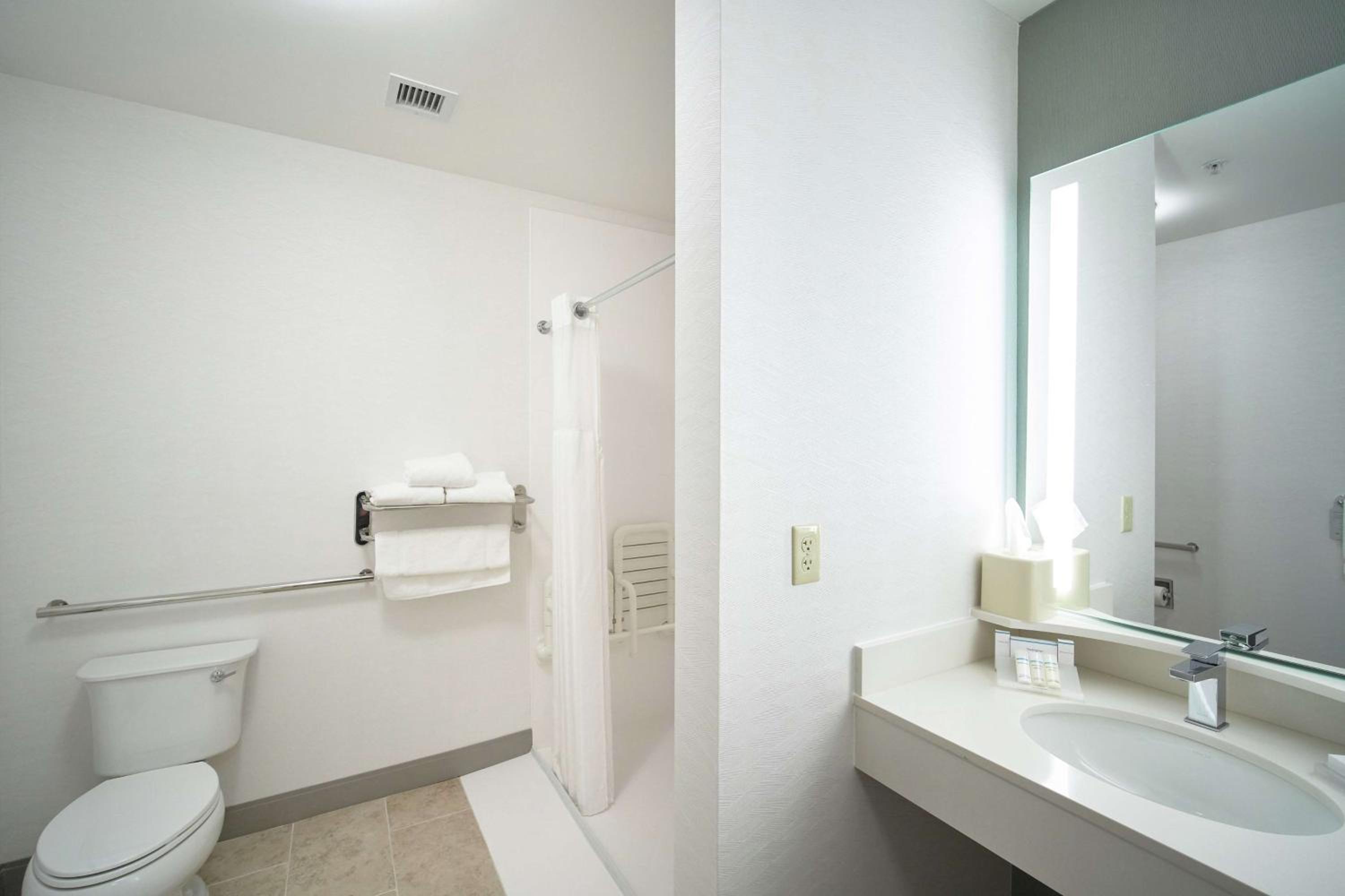 King Room with Roll-In Shower - Mobility Access - Photo 4