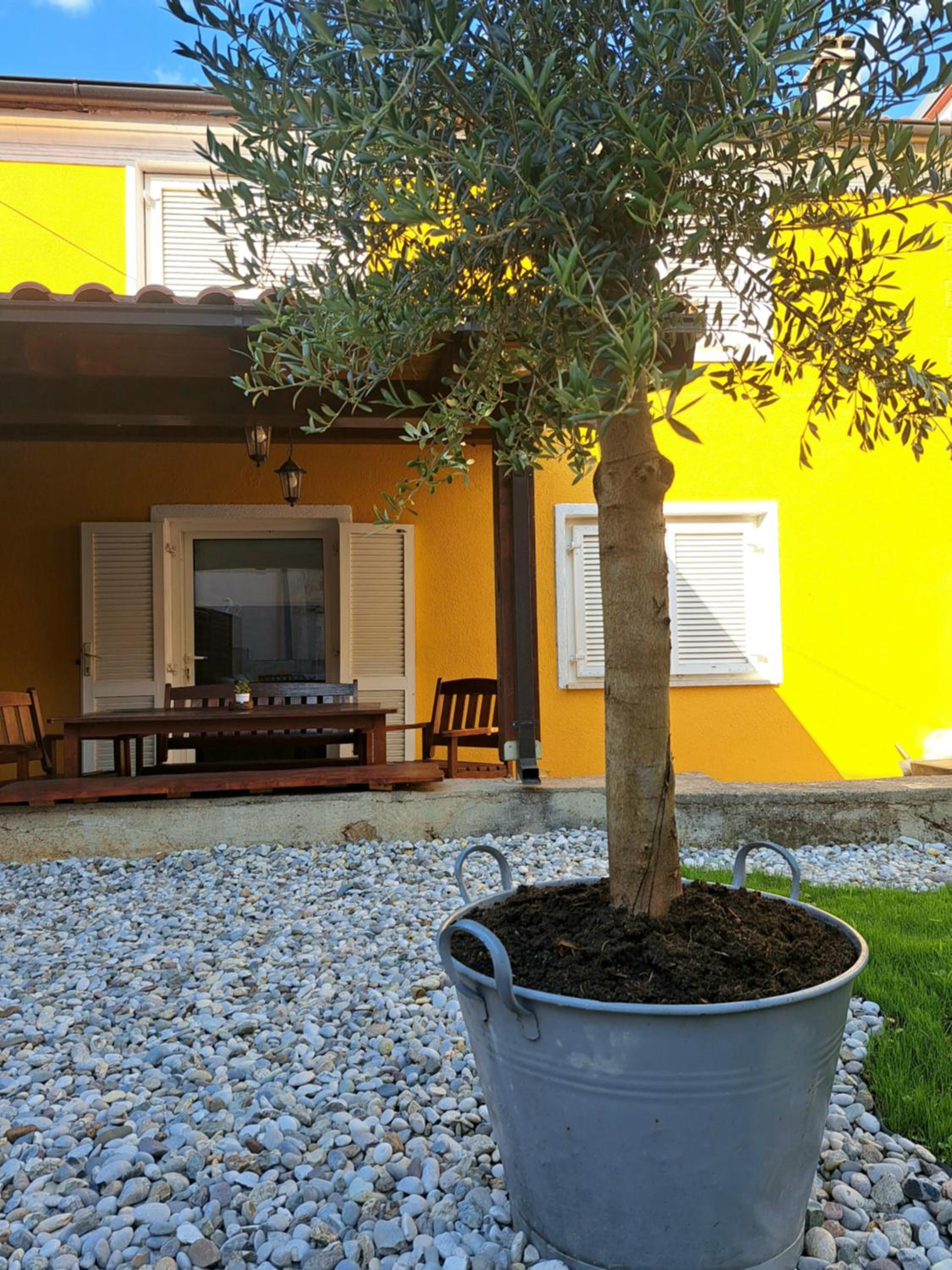 Two-Bedroom House photo 2
