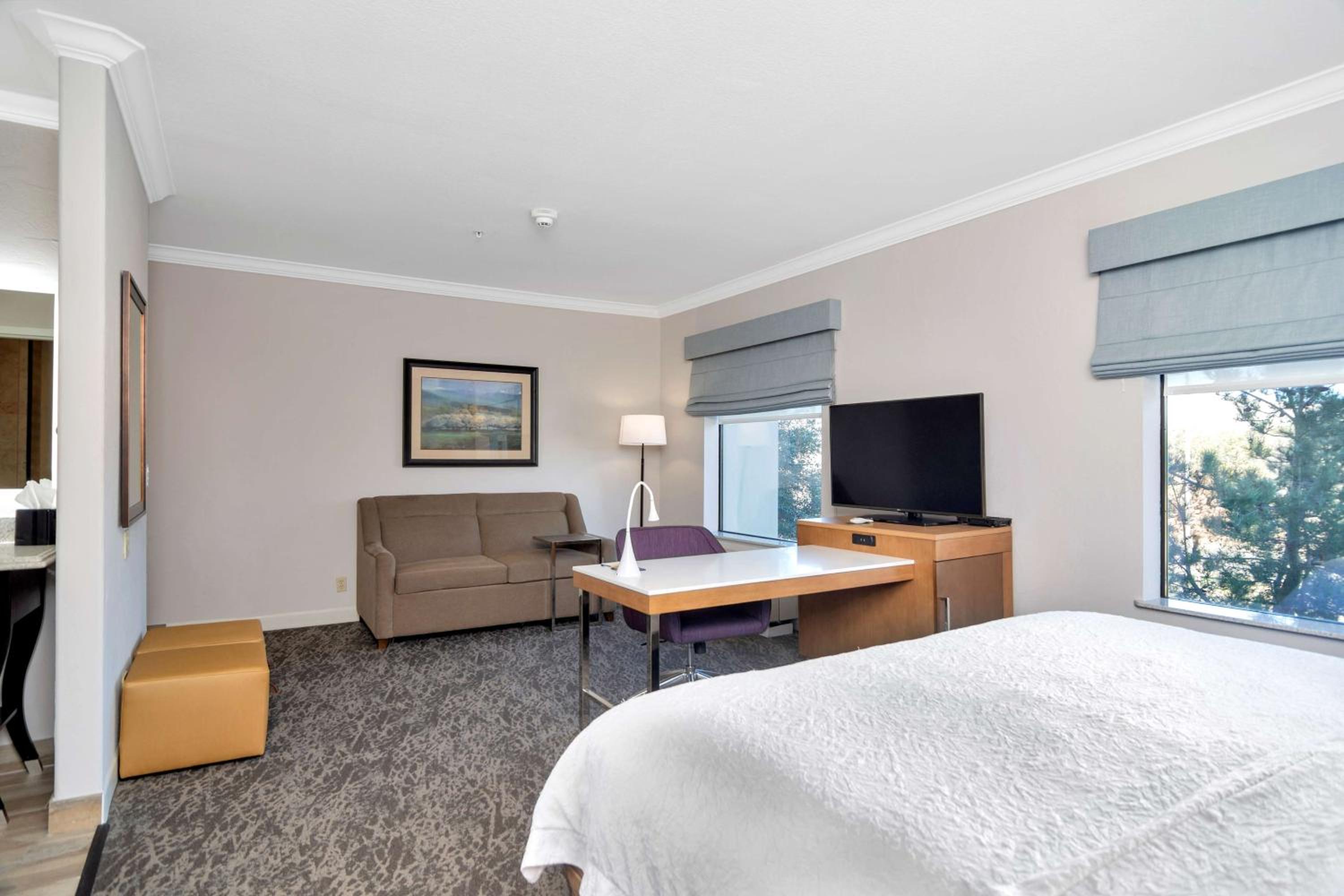 King Studio Suite - Non-Smoking - Photo 8