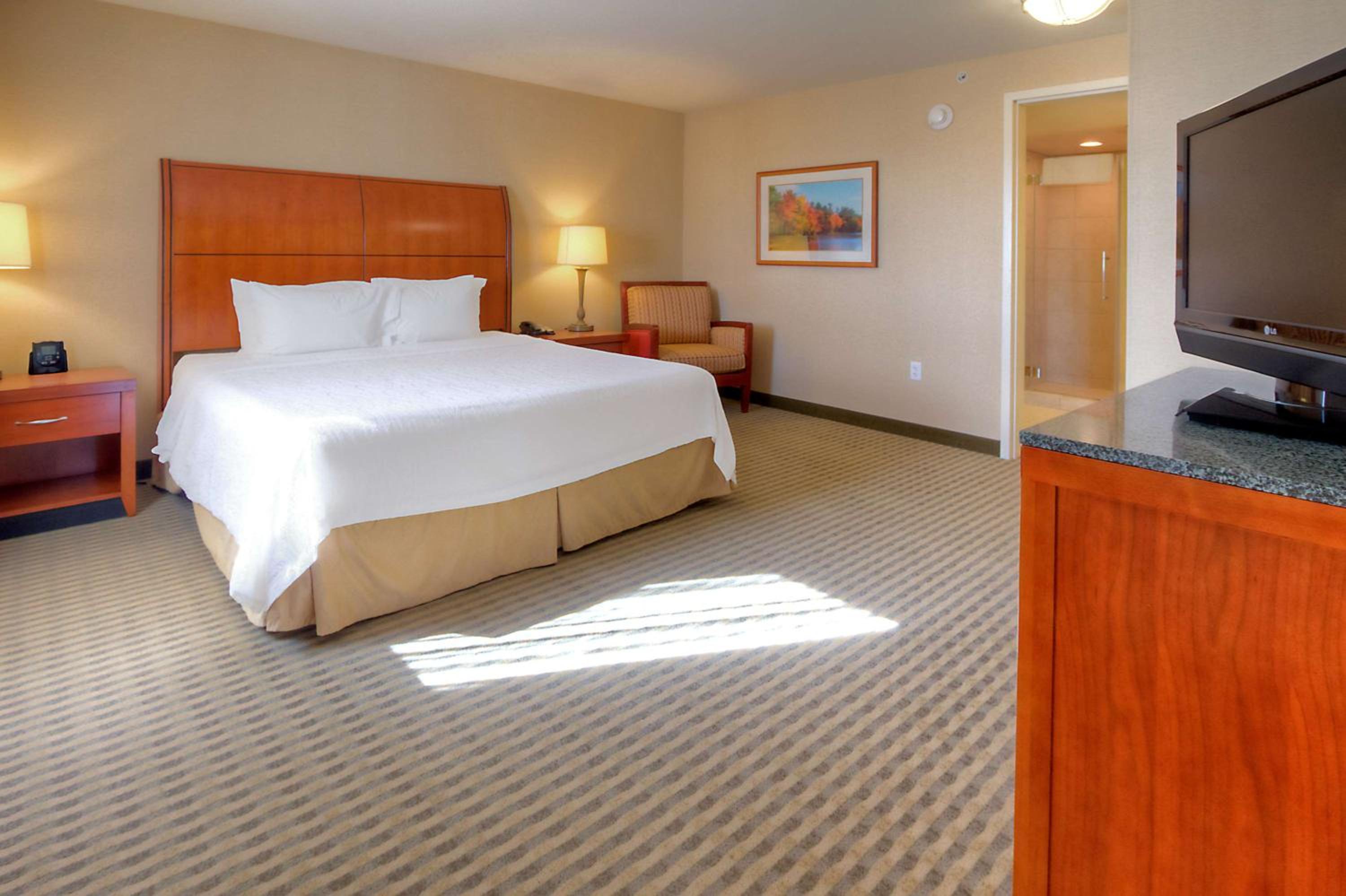 Junior King Suite with Seating Area - Photo 1