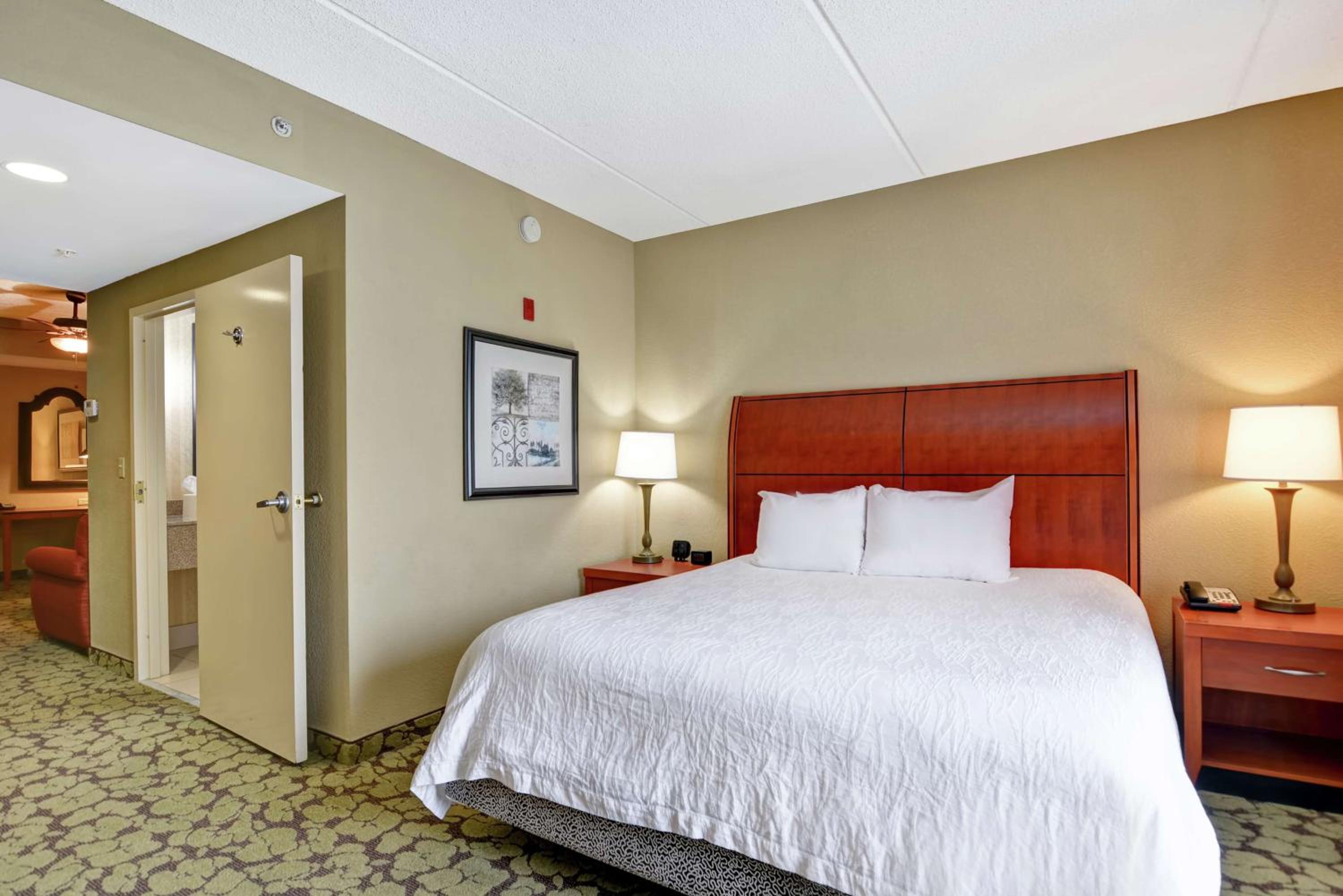 King Suite - Photo 1