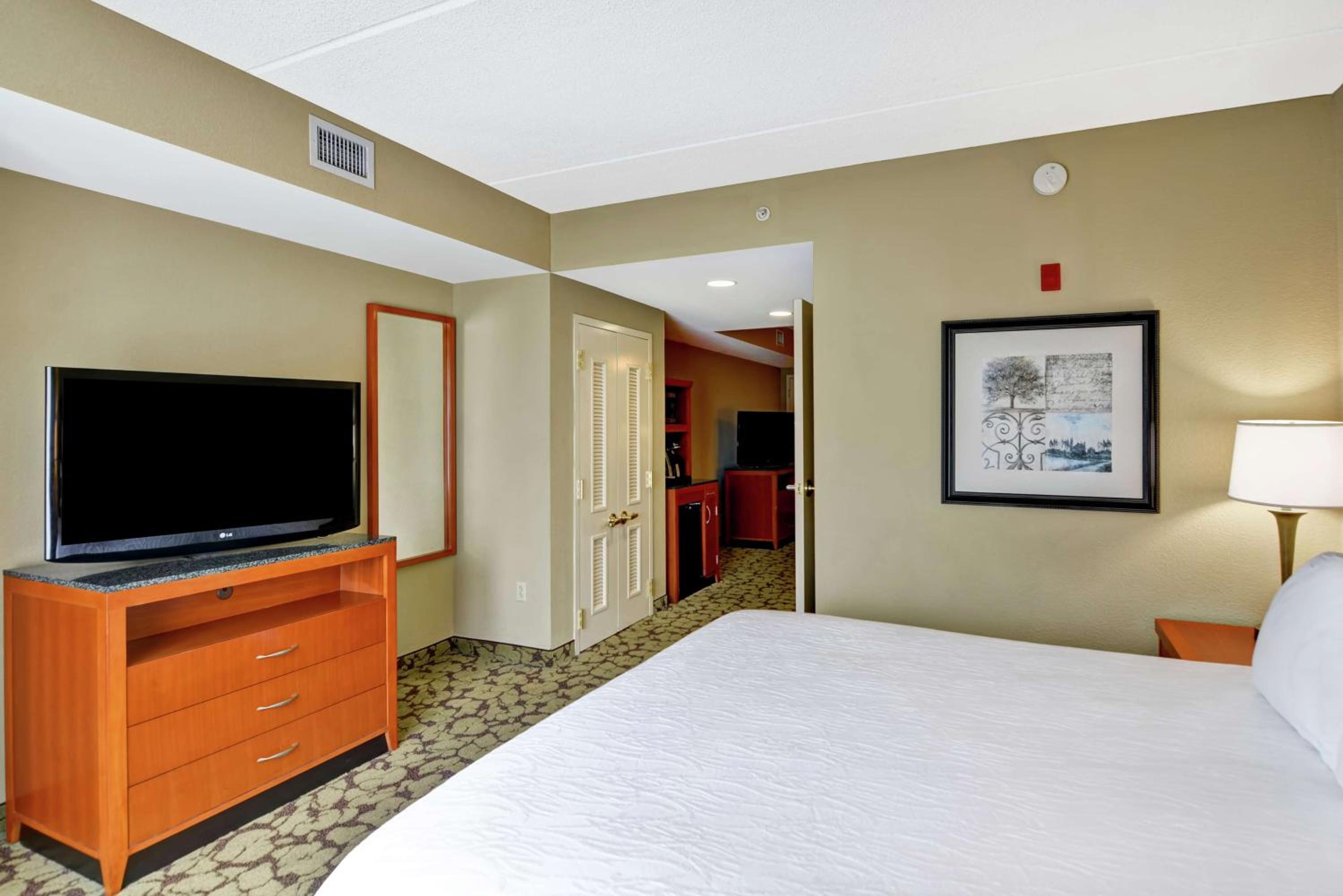 King Suite - Photo 4