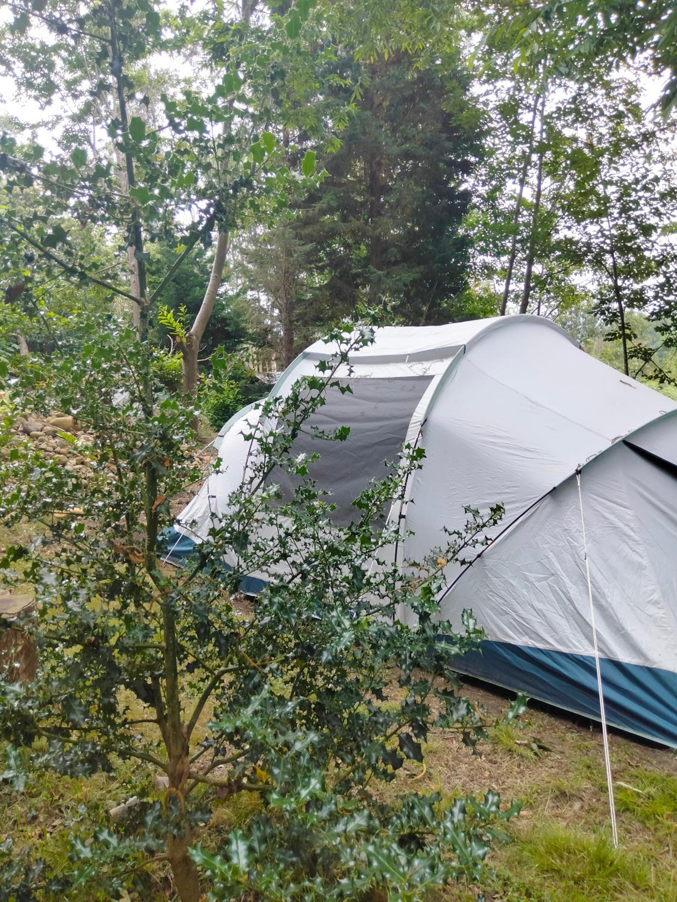 Two-Bedroom Tent - Photo 44